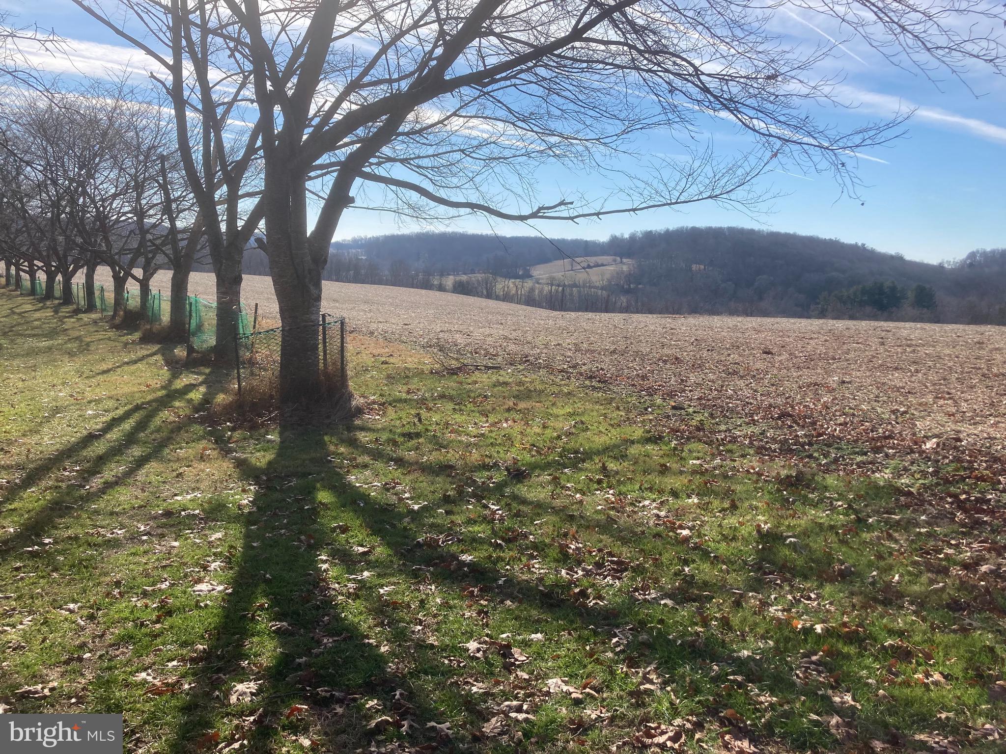 2000 Harris Mill Road Parkton, MD 21120 - Photo 124 of 146 Gallery Image 124