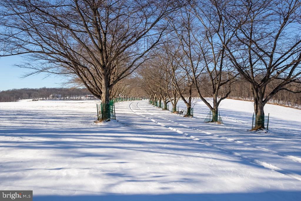 2000 Harris Mill Road Parkton, MD 21120 - Photo 146 of 146 Gallery Image 146