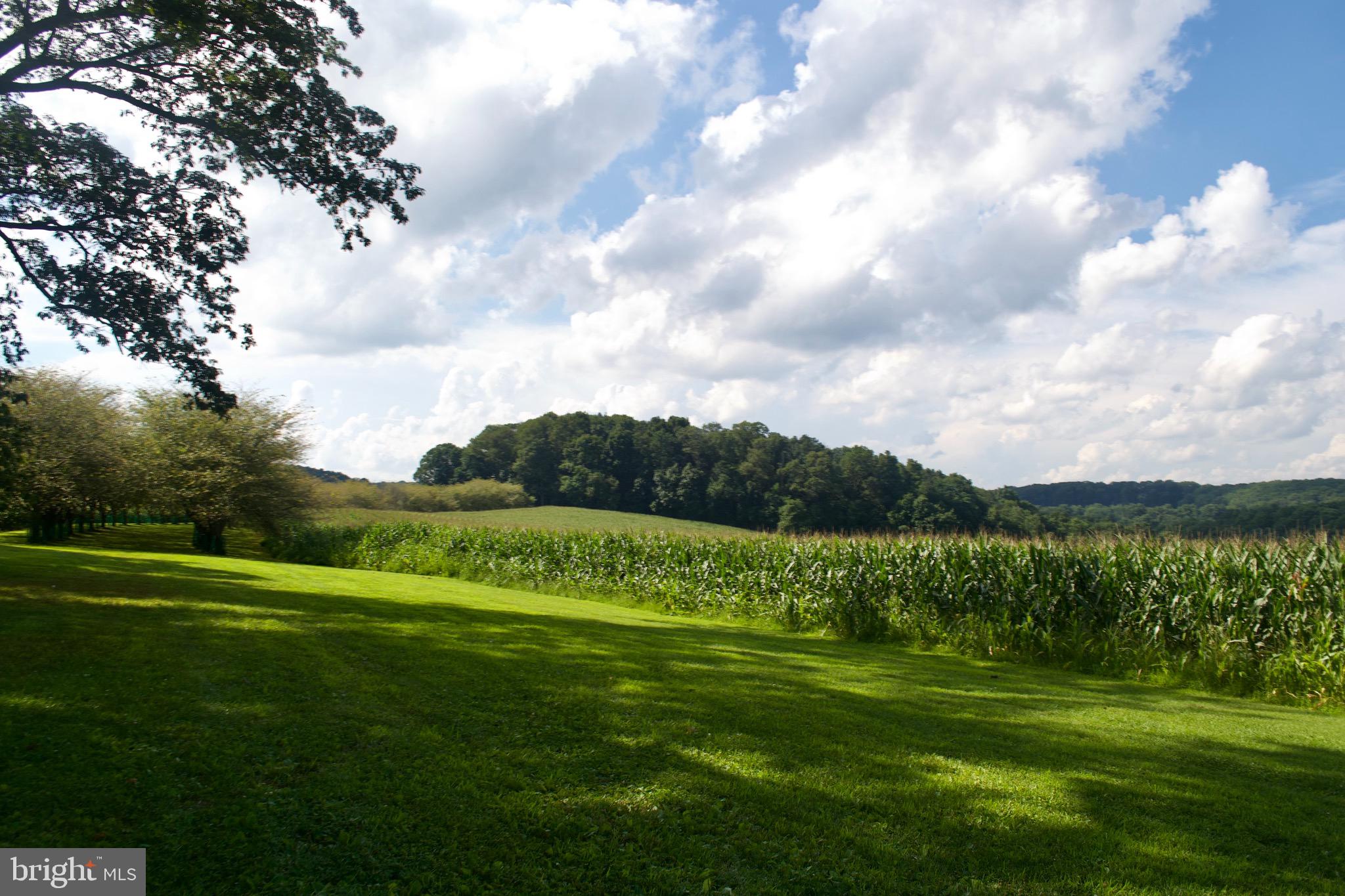 2000 Harris Mill Road Parkton, MD 21120 - Photo 17 of 146 Gallery Image 17