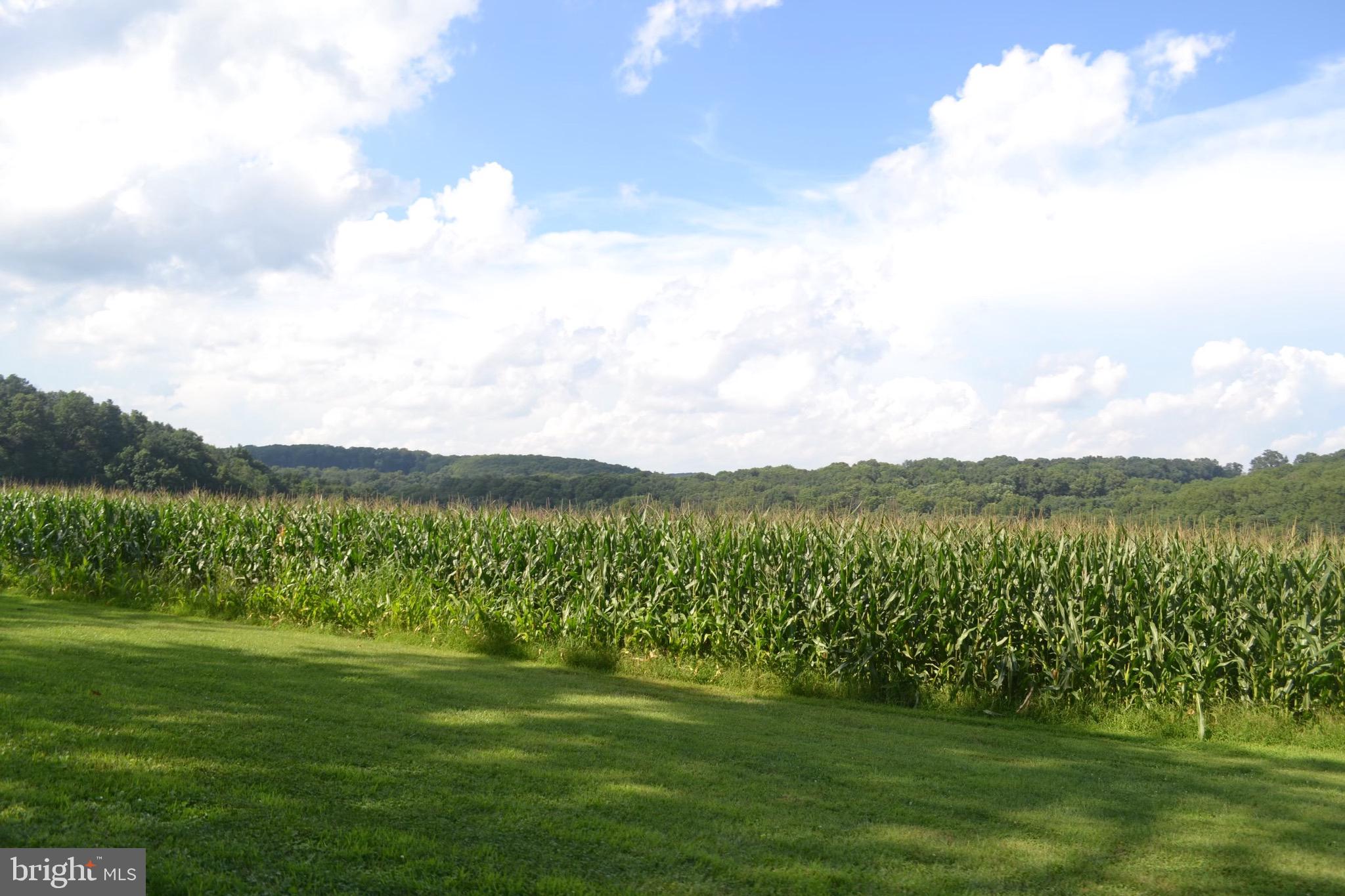 2000 Harris Mill Road Parkton, MD 21120 - Photo 20 of 146 Gallery Image 20