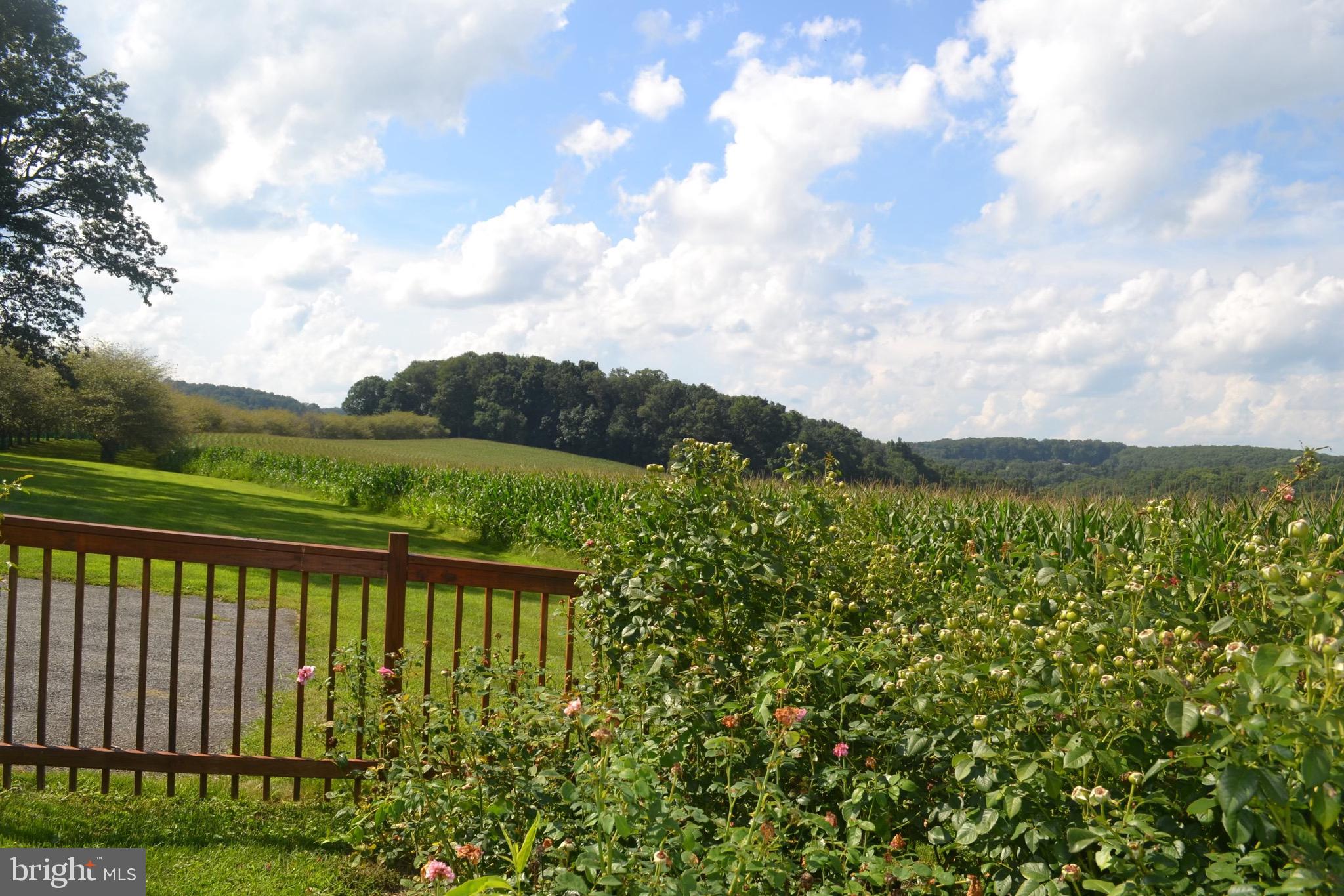 2000 Harris Mill Road Parkton, MD 21120 - Photo 22 of 146 Gallery Image 22