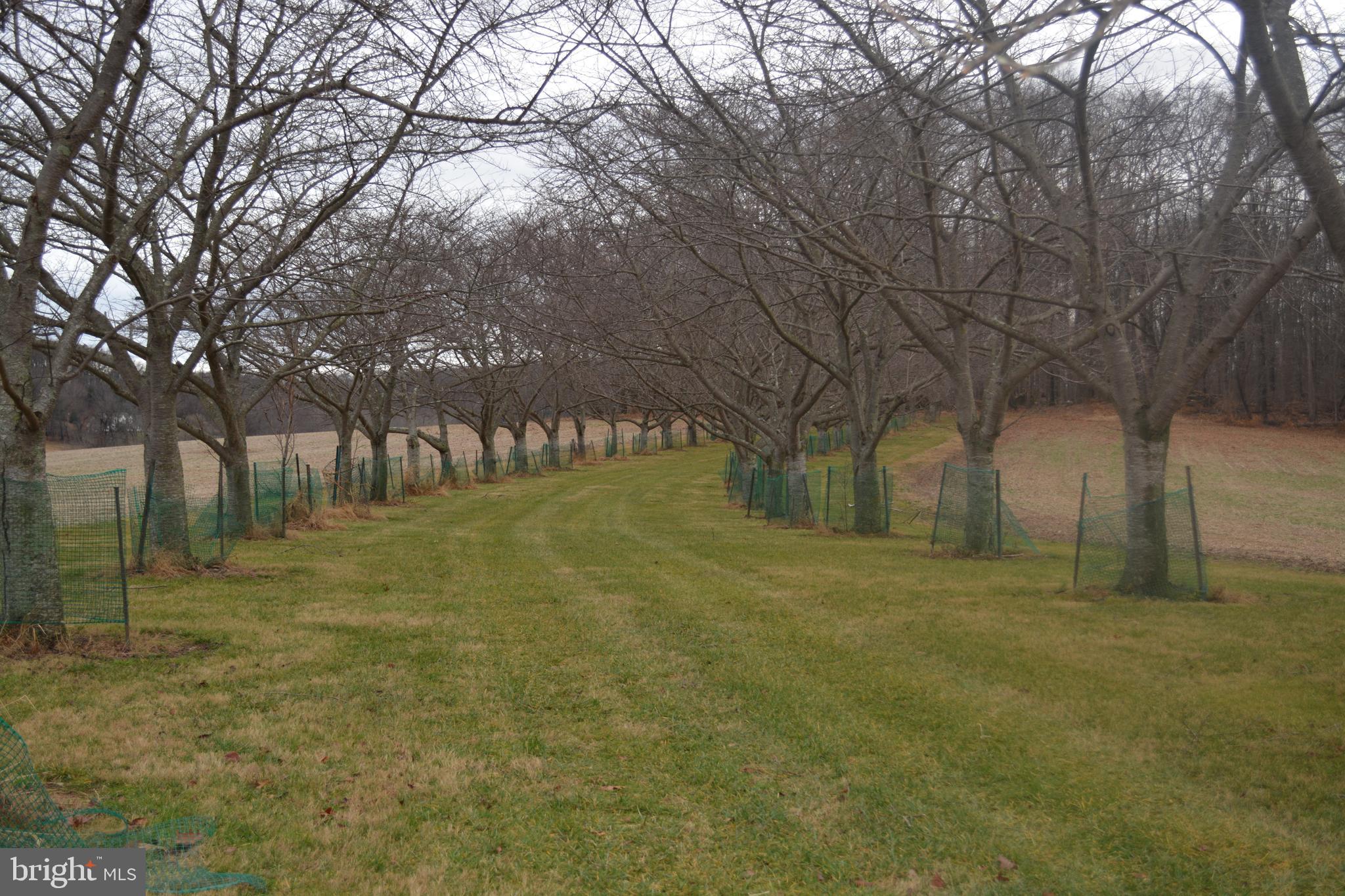 2000 Harris Mill Road Parkton, MD 21120 - Photo 35 of 146 Gallery Image 35