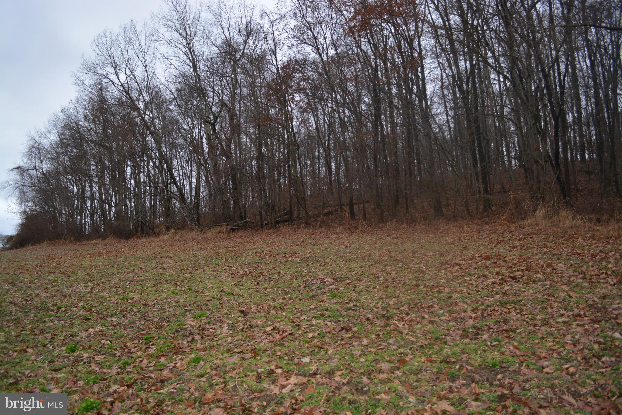 2000 Harris Mill Road Parkton, MD 21120 - Photo 54 of 146 Gallery Image 54