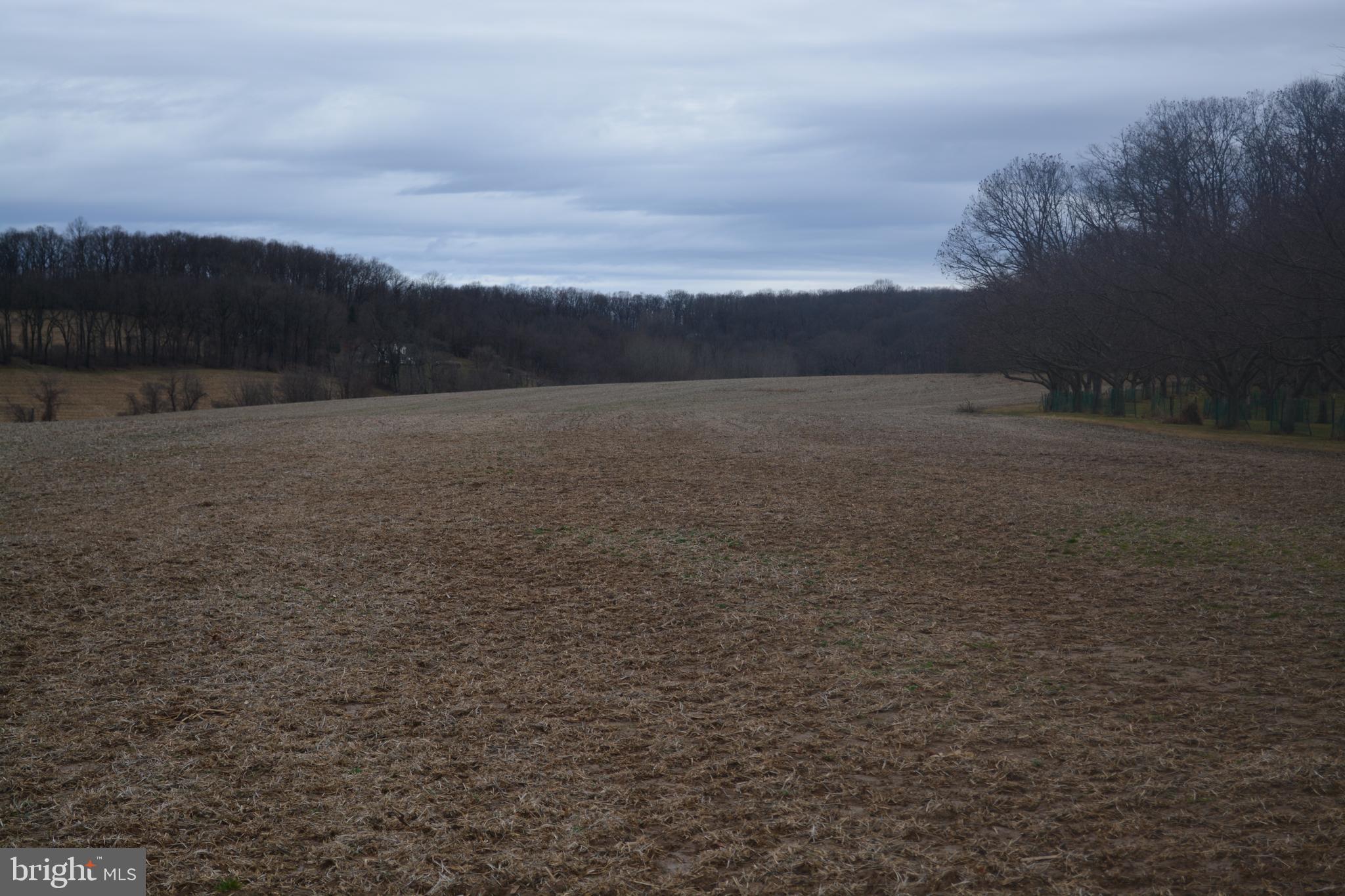 2000 Harris Mill Road Parkton, MD 21120 - Photo 56 of 146 Gallery Image 56