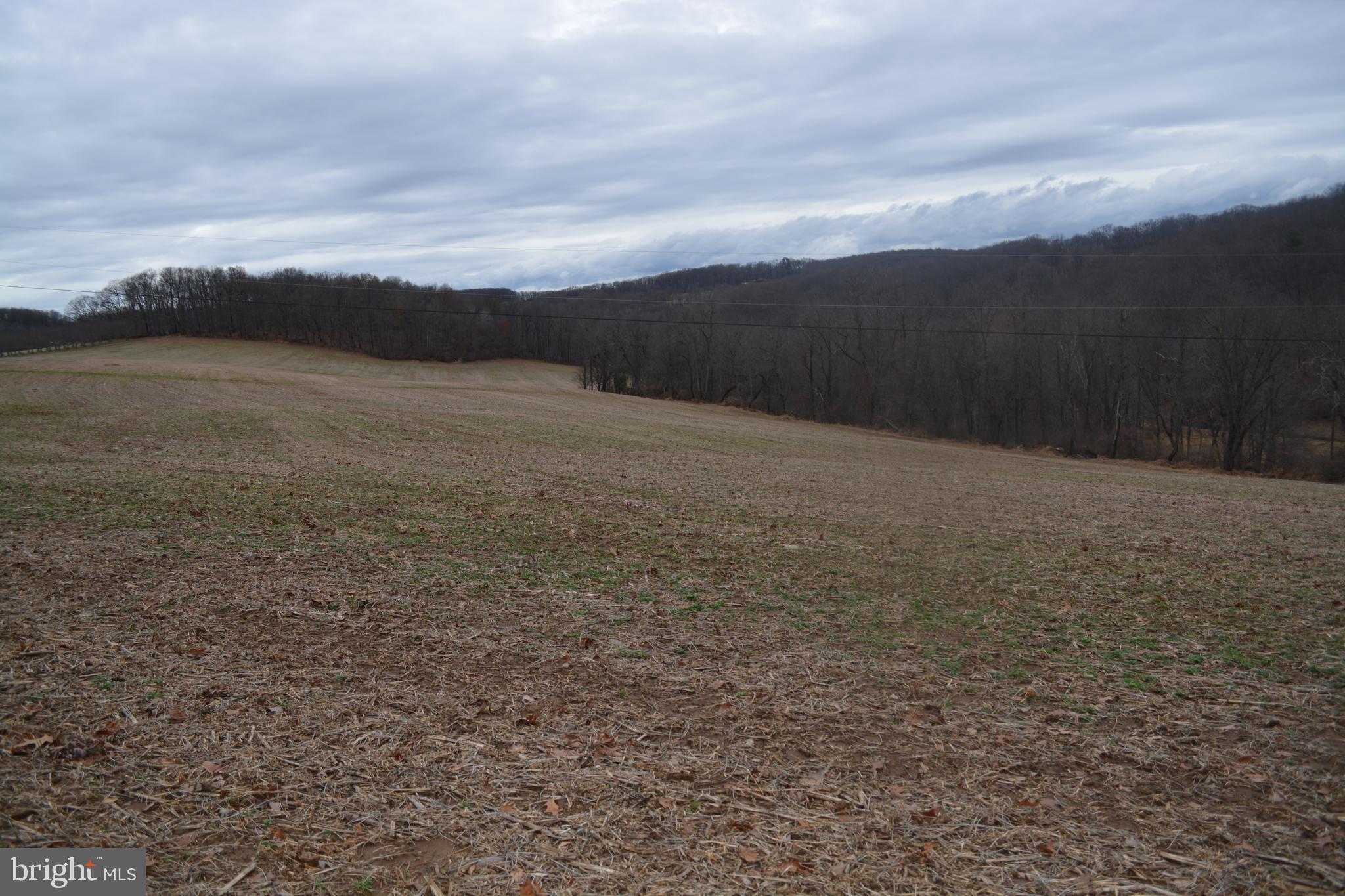 2000 Harris Mill Road Parkton, MD 21120 - Photo 58 of 146 Gallery Image 58