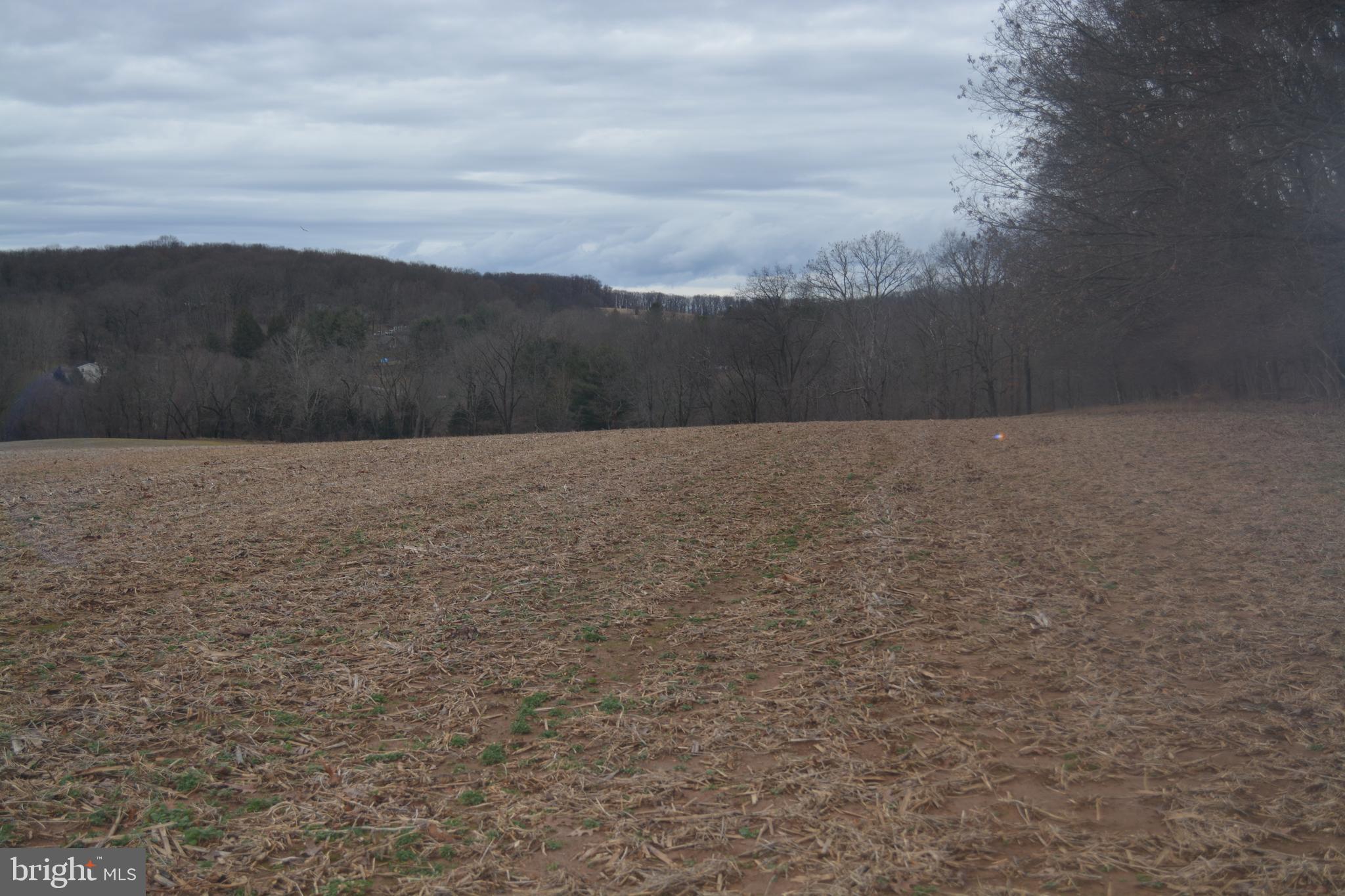 2000 Harris Mill Road Parkton, MD 21120 - Photo 60 of 146 Gallery Image 60