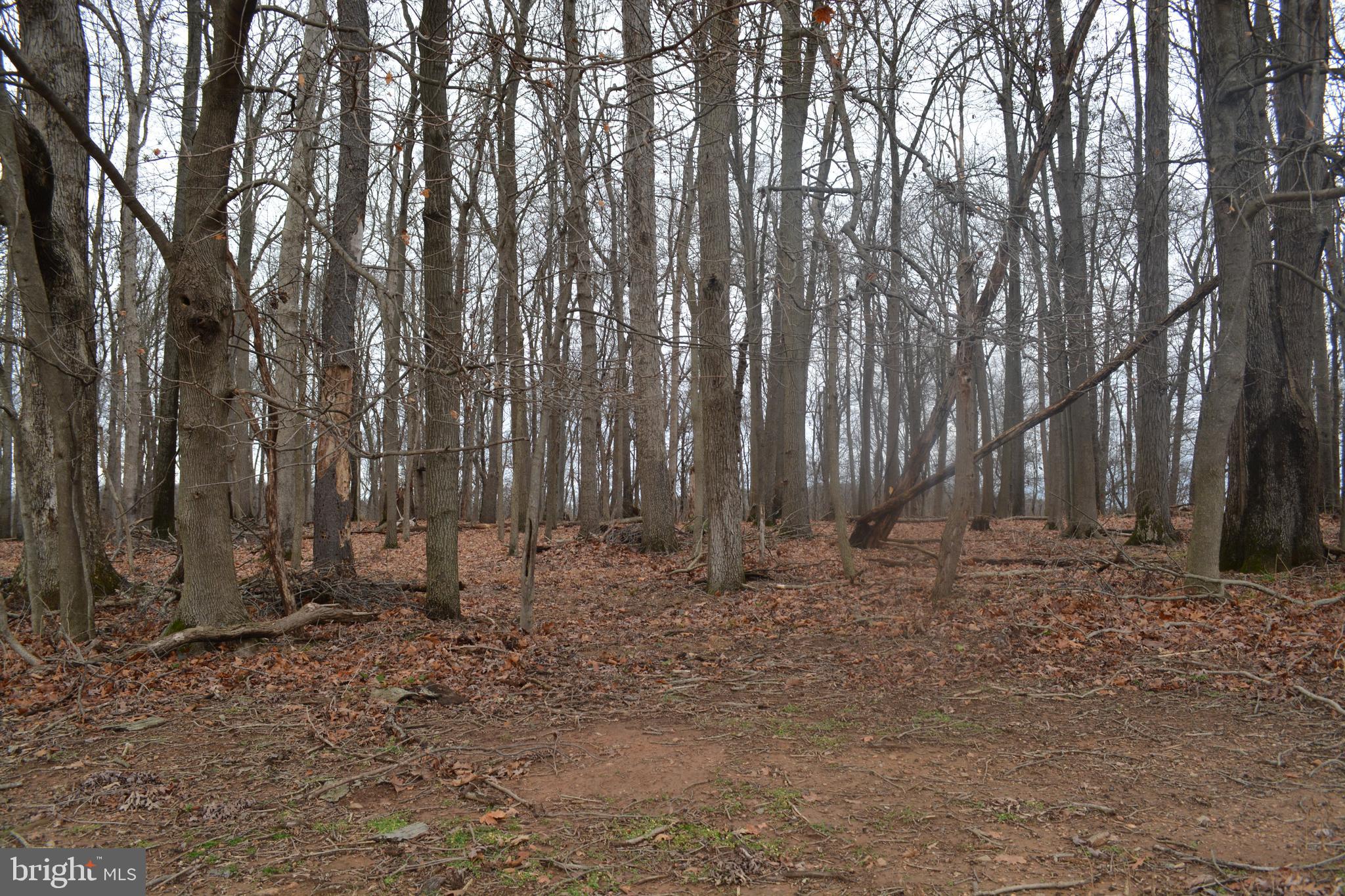 2000 Harris Mill Road Parkton, MD 21120 - Photo 61 of 146 Gallery Image 61