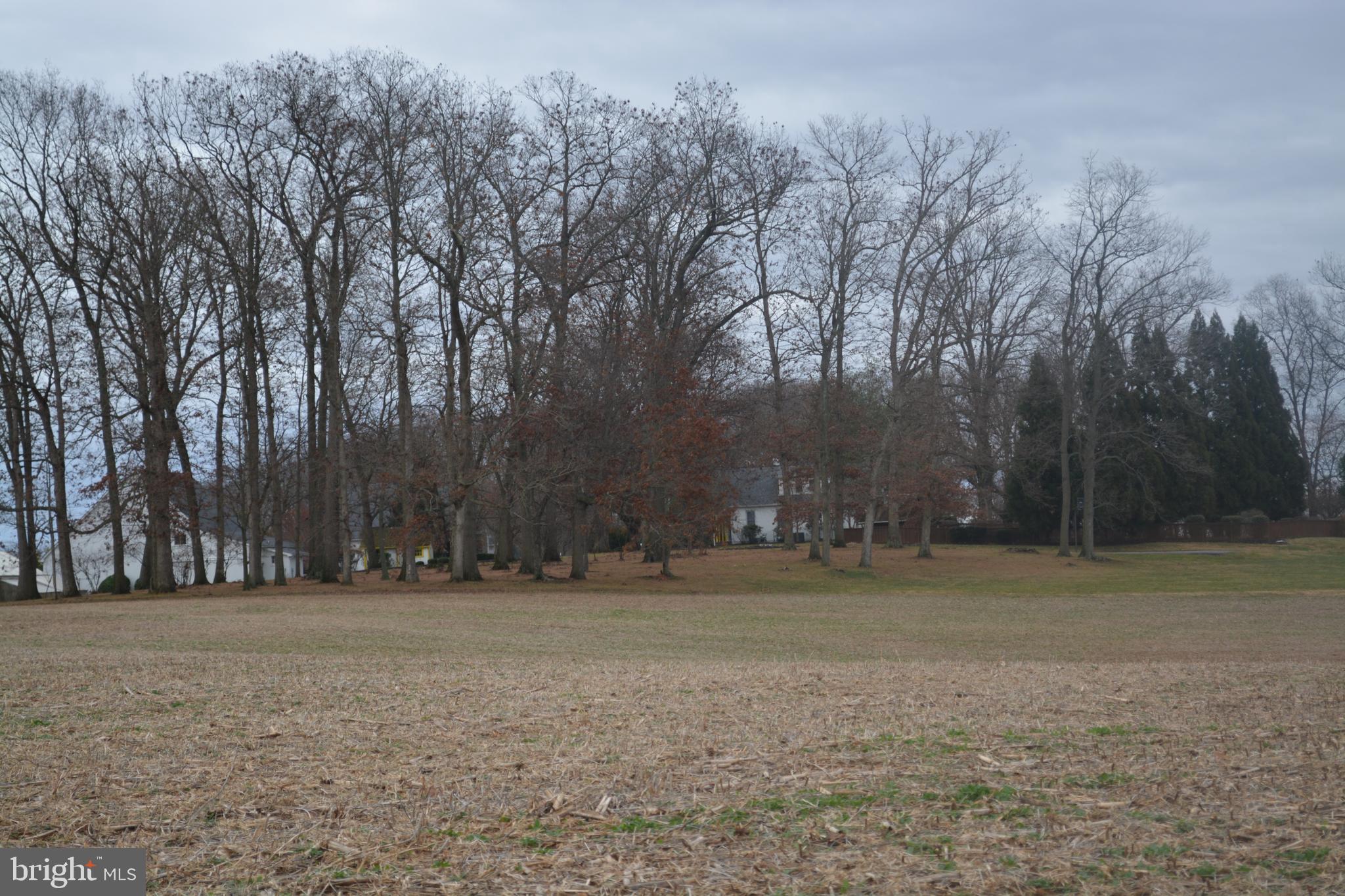 2000 Harris Mill Road Parkton, MD 21120 - Photo 63 of 146 Gallery Image 63