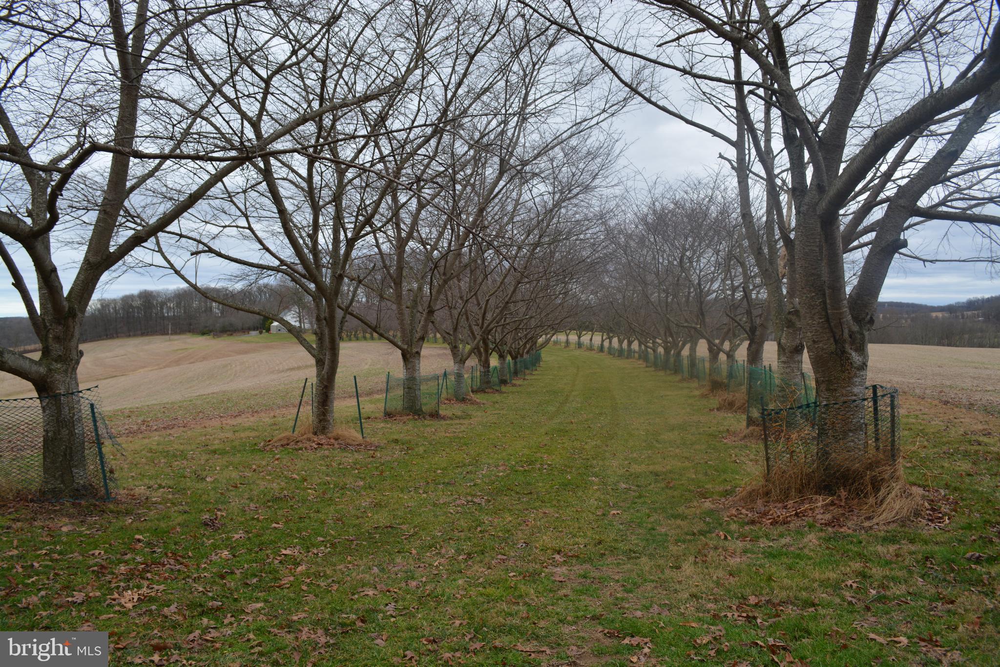 2000 Harris Mill Road Parkton, MD 21120 - Photo 67 of 146 Gallery Image 67