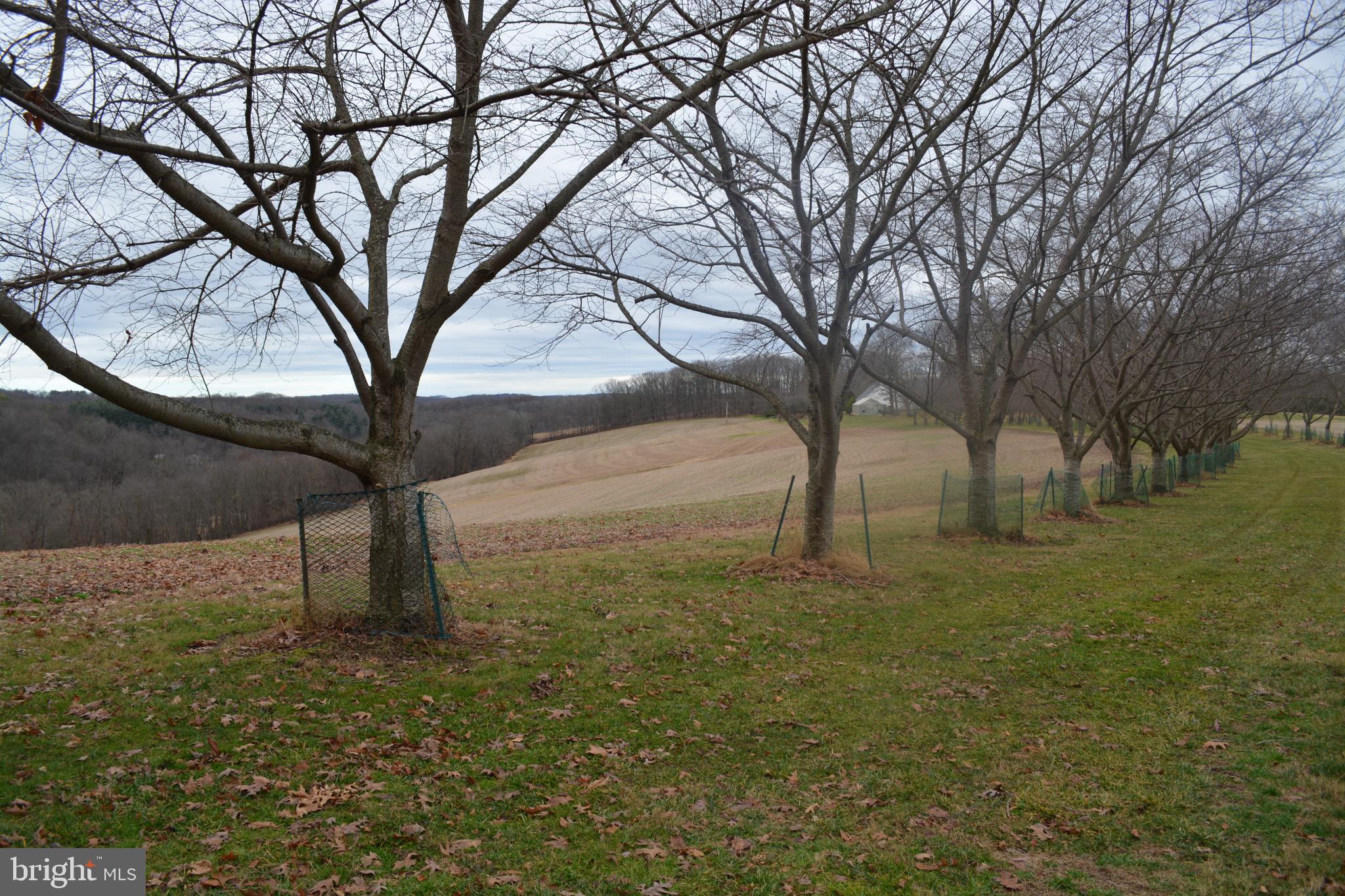 2000 Harris Mill Road Parkton, MD 21120 - Photo 68 of 146 Gallery Image 68
