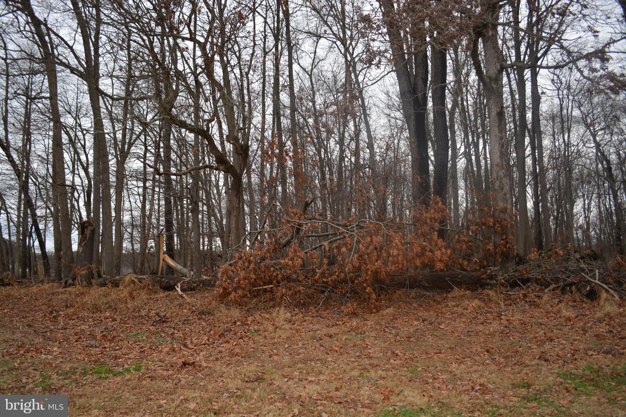 2000 Harris Mill Road Parkton, MD 21120 - Photo 69 of 146 Gallery Image 69