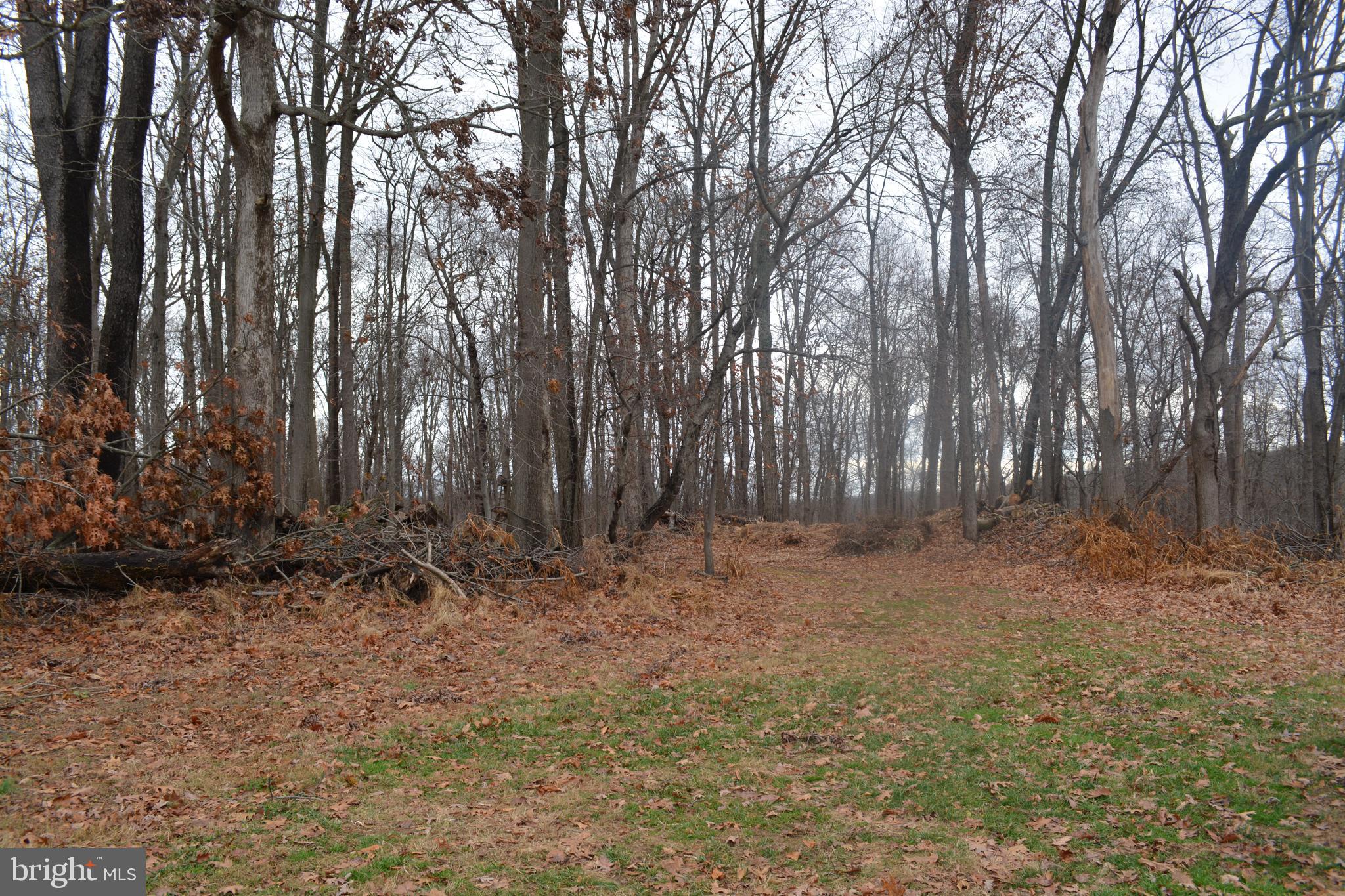 2000 Harris Mill Road Parkton, MD 21120 - Photo 70 of 146 Gallery Image 70
