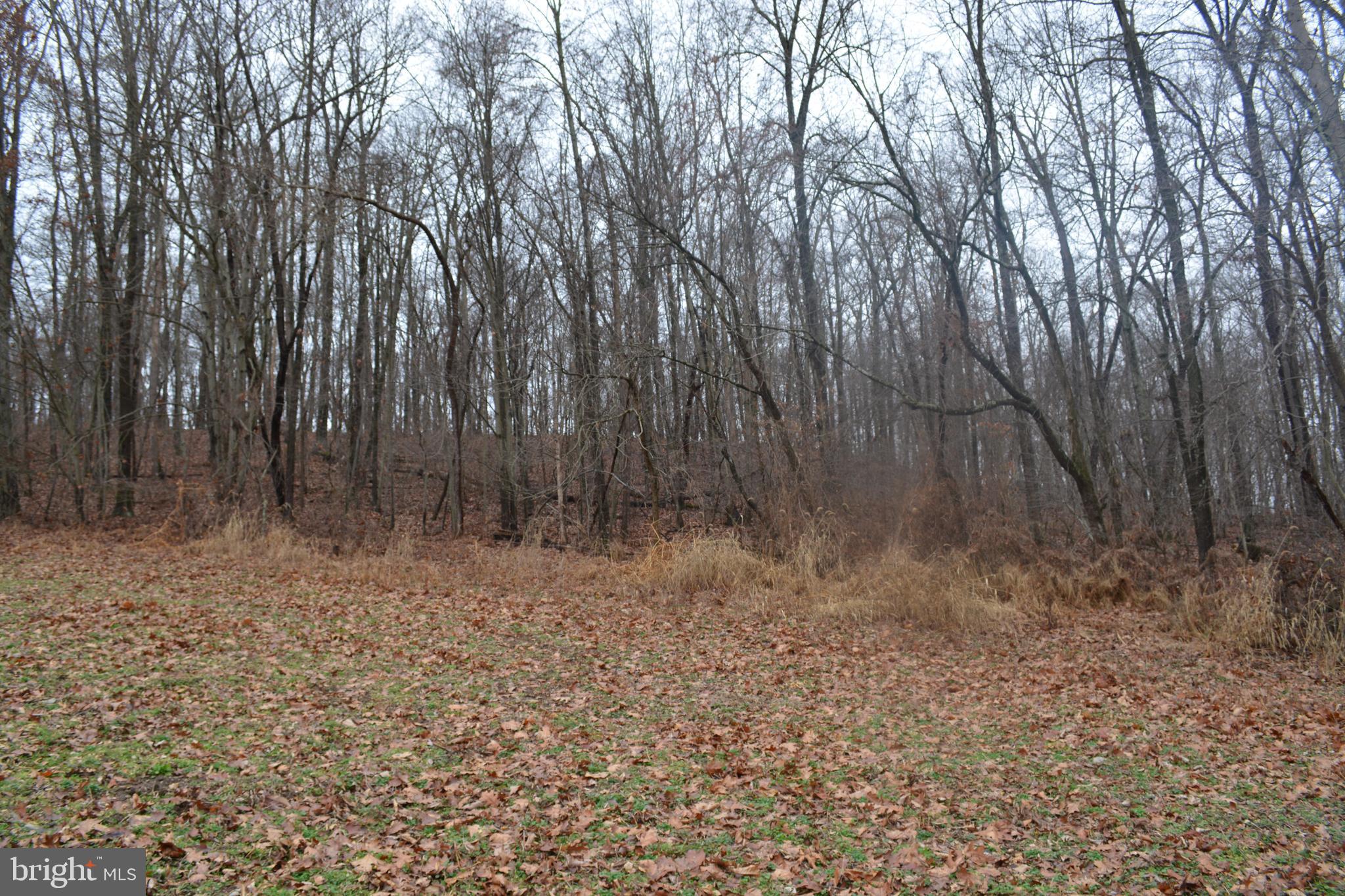 2000 Harris Mill Road Parkton, MD 21120 - Photo 75 of 146 Gallery Image 75