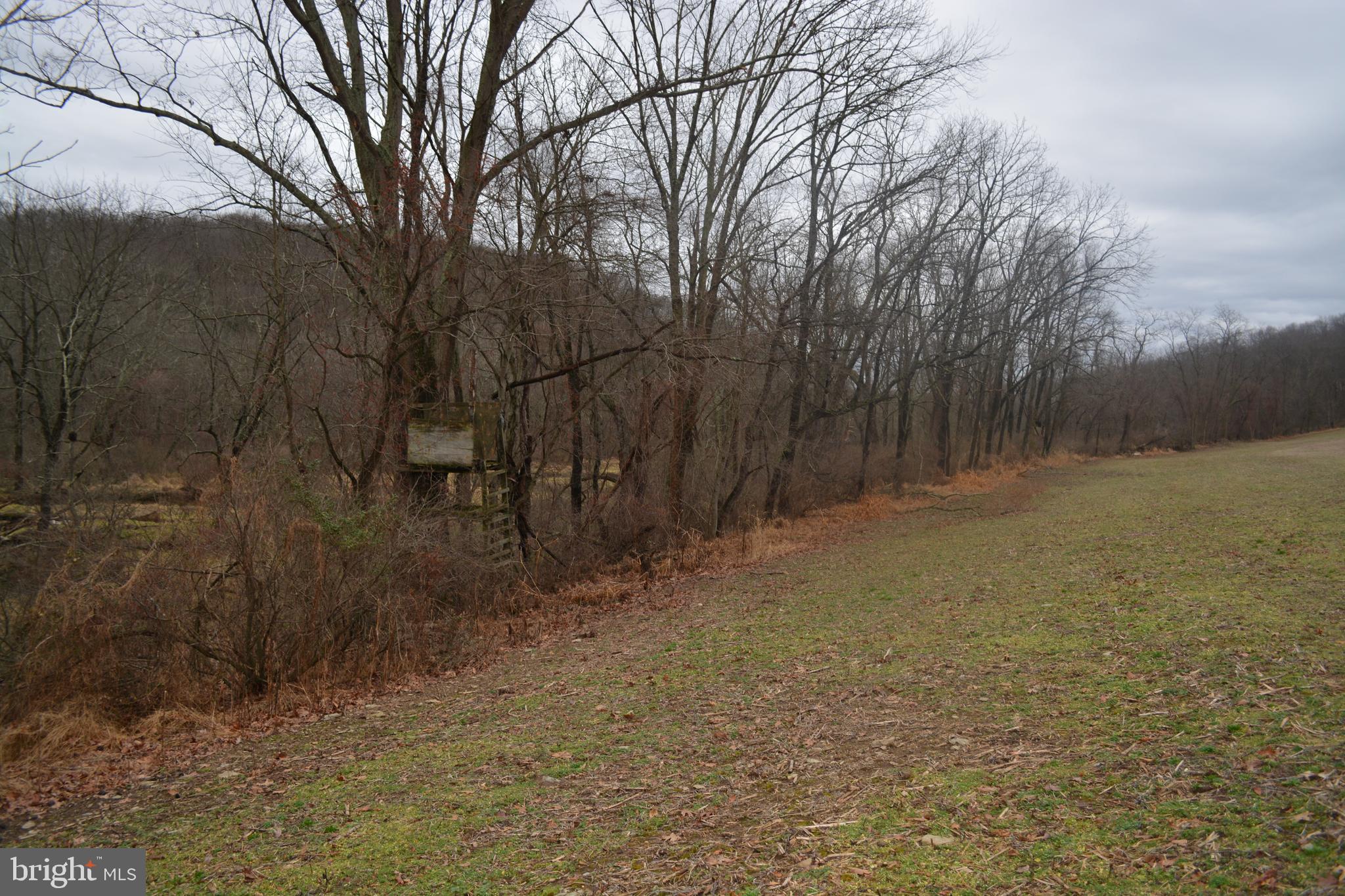 2000 Harris Mill Road Parkton, MD 21120 - Photo 79 of 146 Gallery Image 79