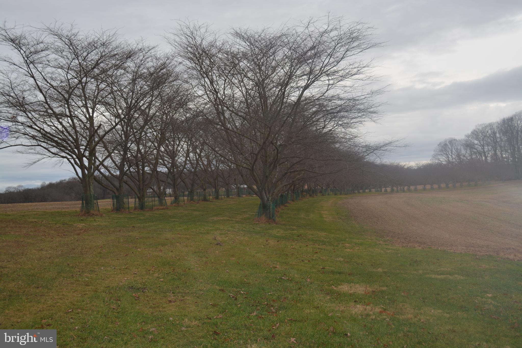2000 Harris Mill Road Parkton, MD 21120 - Photo 86 of 146 Gallery Image 86
