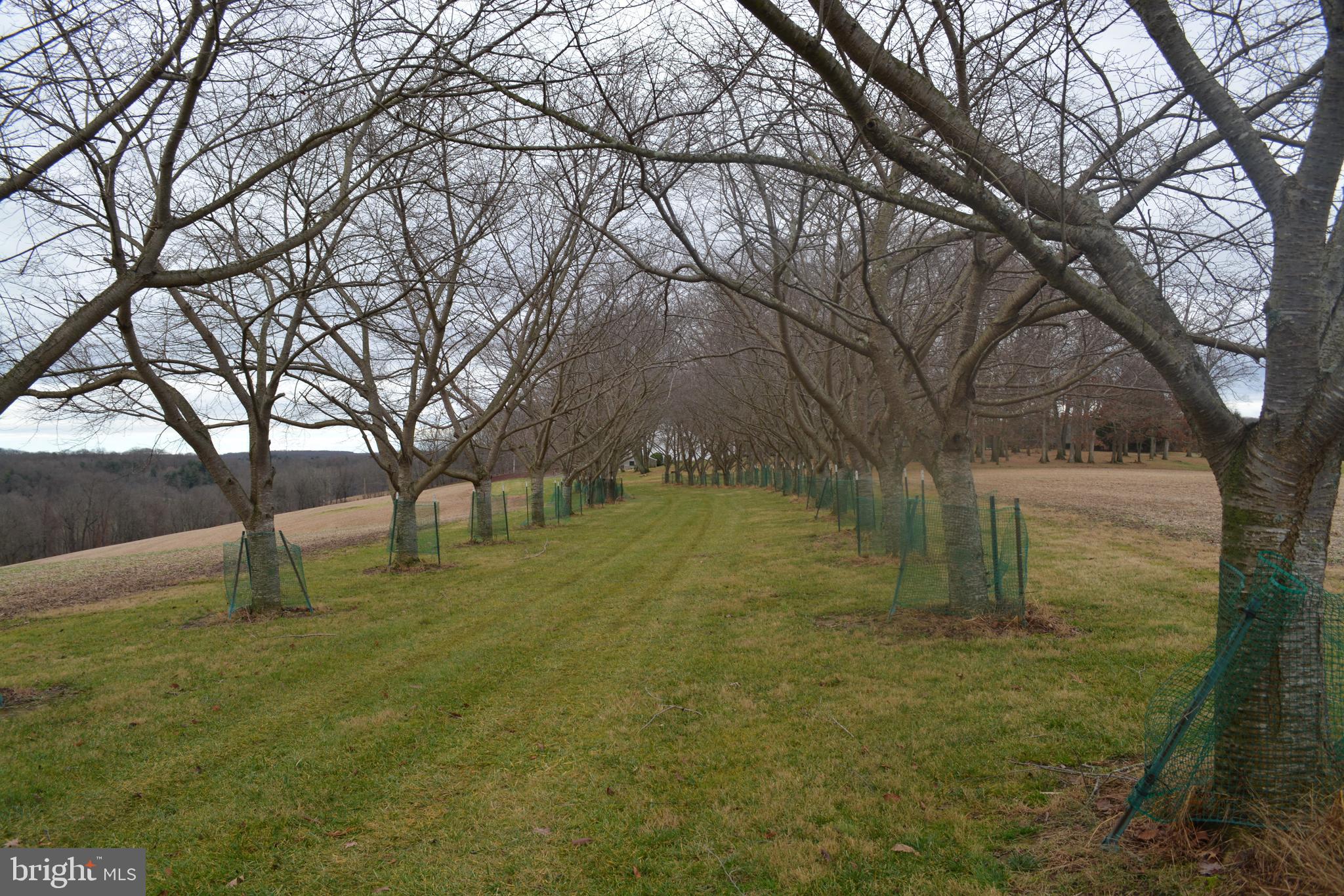 2000 Harris Mill Road Parkton, MD 21120 - Photo 87 of 146 Gallery Image 87
