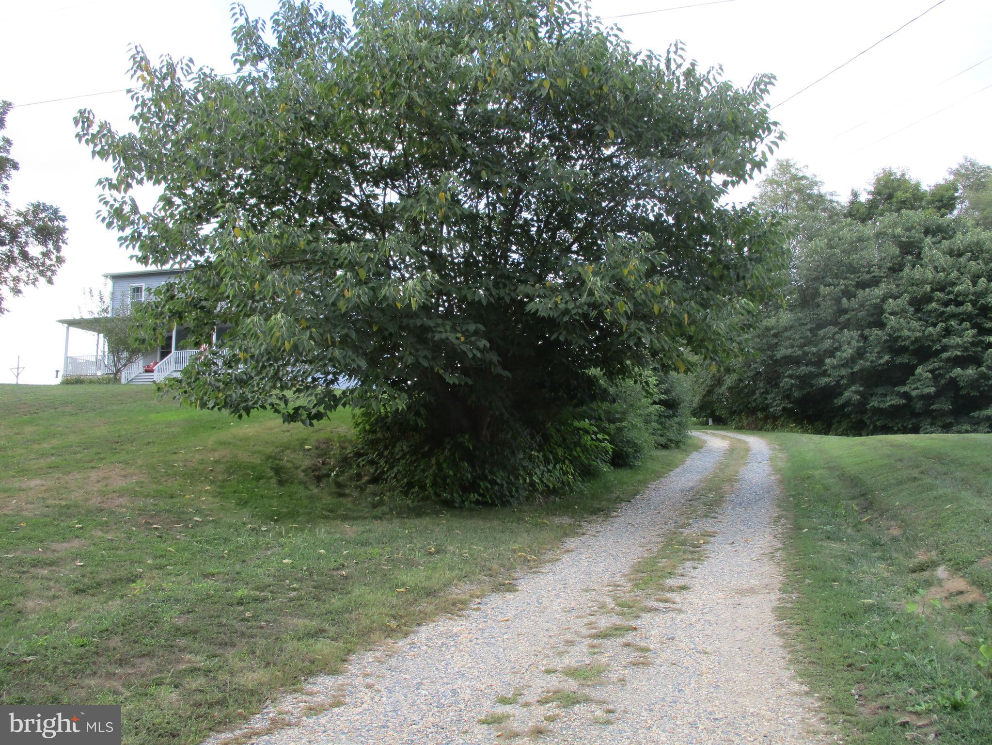 575 Pond Neck Road Earleville, MD 21919 - Photo 46 of 56