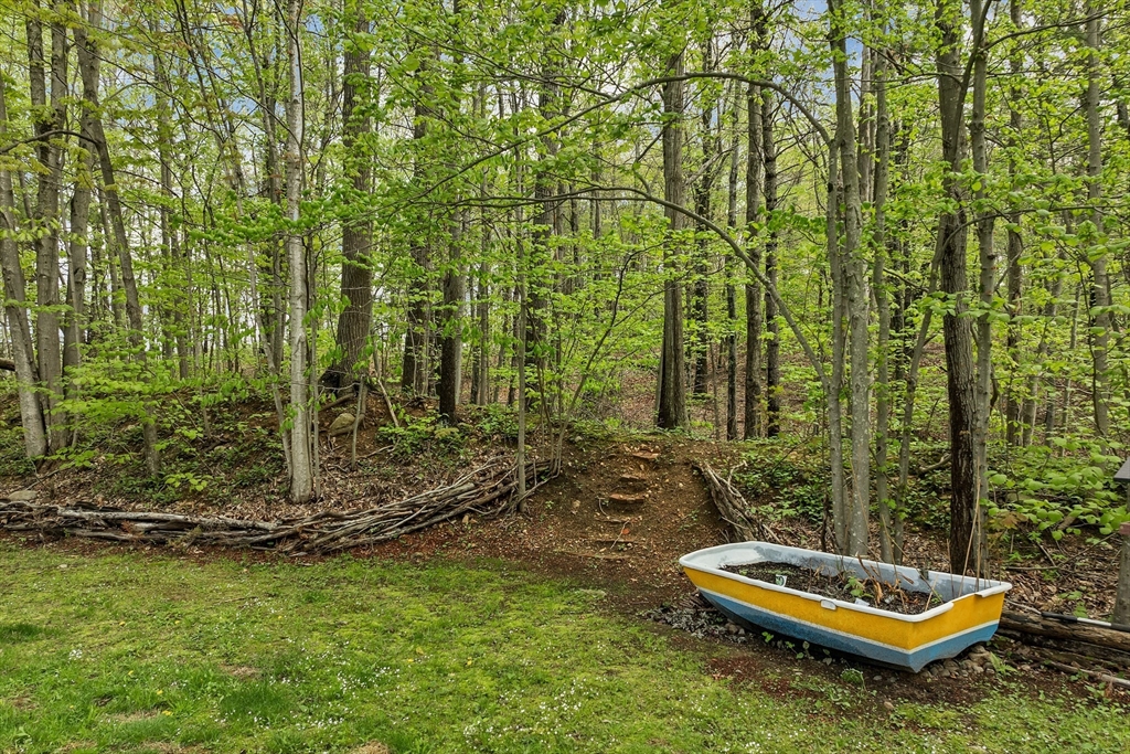 31 Danville Road Hampstead, NH 03826 - Photo 38 of 42 a view of a backyard with plants and trees