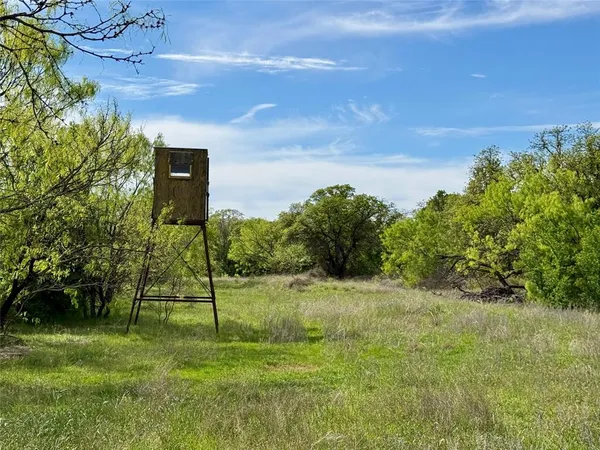 a view of a park with a tree