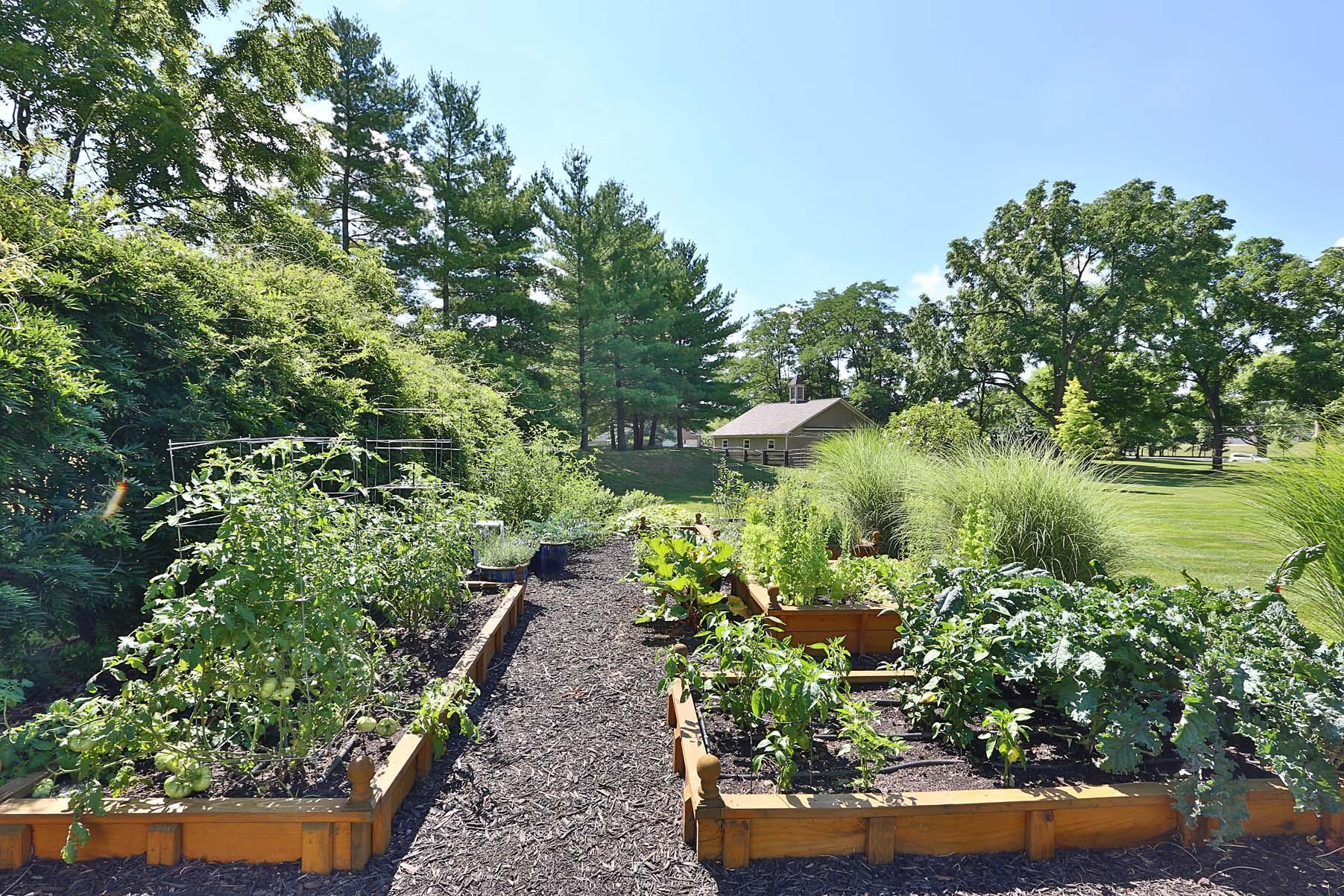 7122 Lee Road Westerville, OH 43081 - Photo 45 of 53