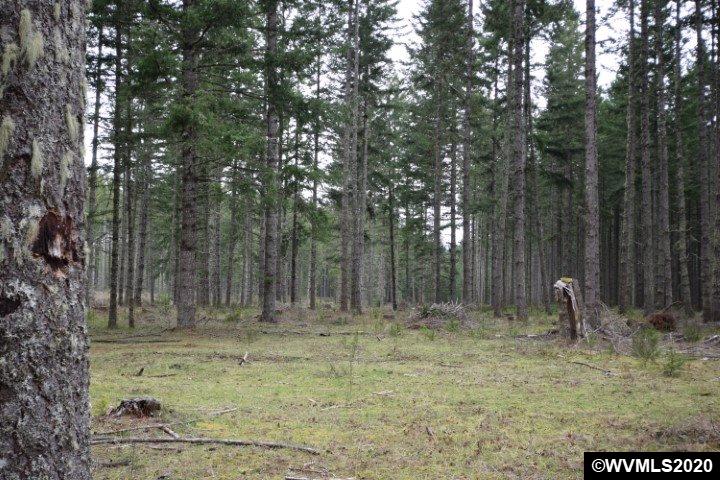 38184 South Hardy Road Molalla, OR 97038 - Photo 15 of 16
