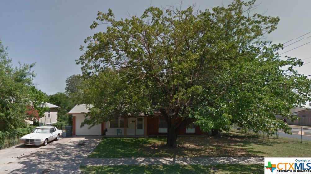 a view of a yard with plants and trees