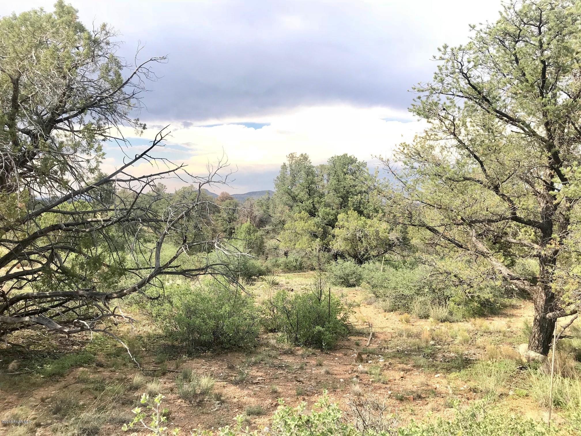 5051 West Three Forks Road Prescott, AZ 86305 - Photo 6 of 26 Homesite