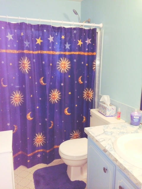 22781 Southwest 54th Way Boca Raton, FL 33433 - Photo 17 of 19 16