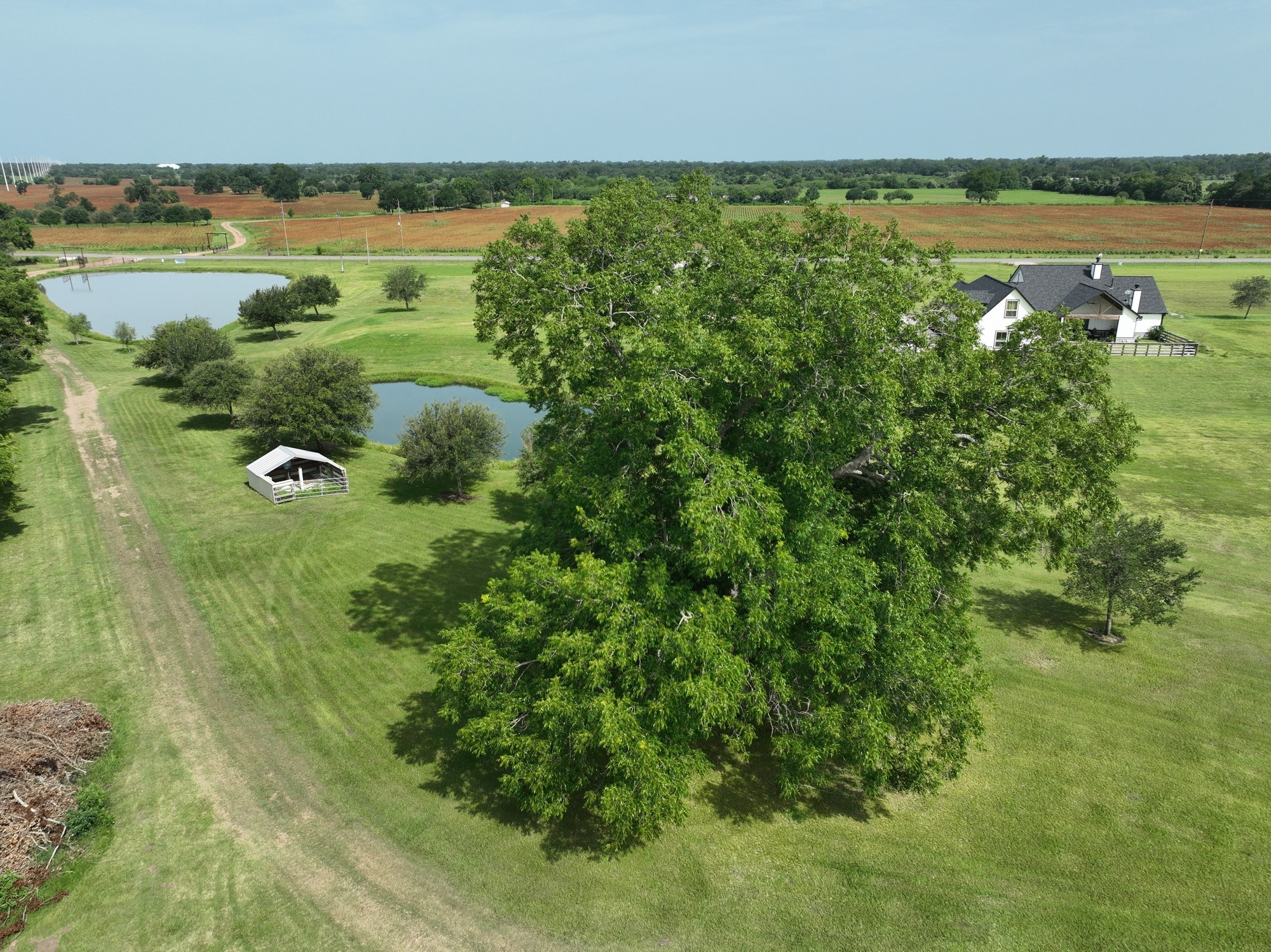 1260 Bartlett Road Sealy, TX 77474 - Photo 4 of 25