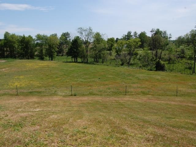 18586 Fillmore Road Stanwood, MI 49346 - Photo 32 of 32 32 Yard