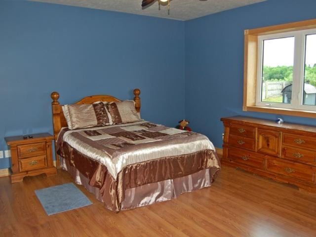 18586 Fillmore Road Stanwood, MI 49346 - Photo 9 of 32 9 Master Bedroom