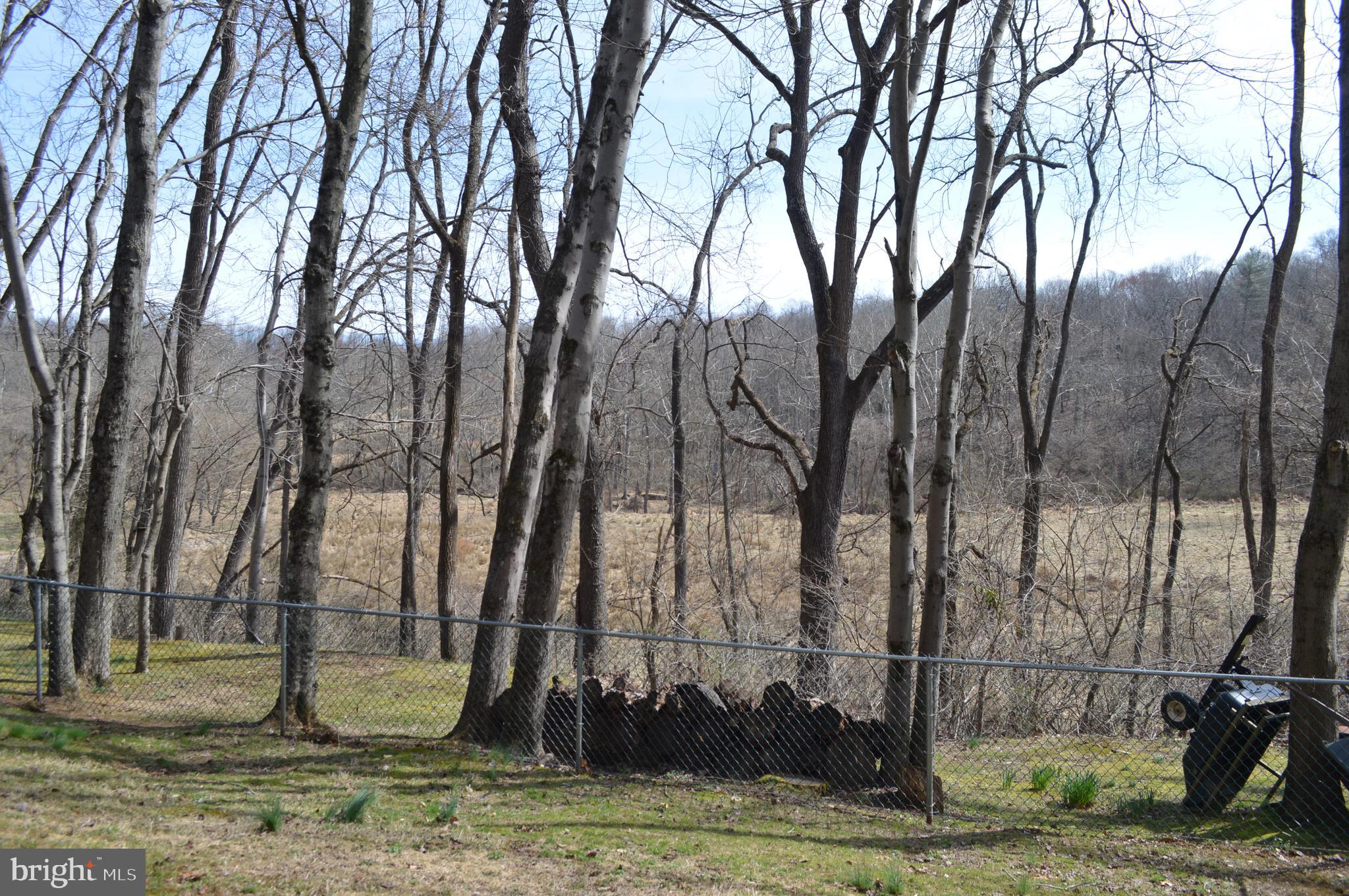 5319 Bartholow Road Sykesville, MD 21784 - Photo 61 of 65 Side yard