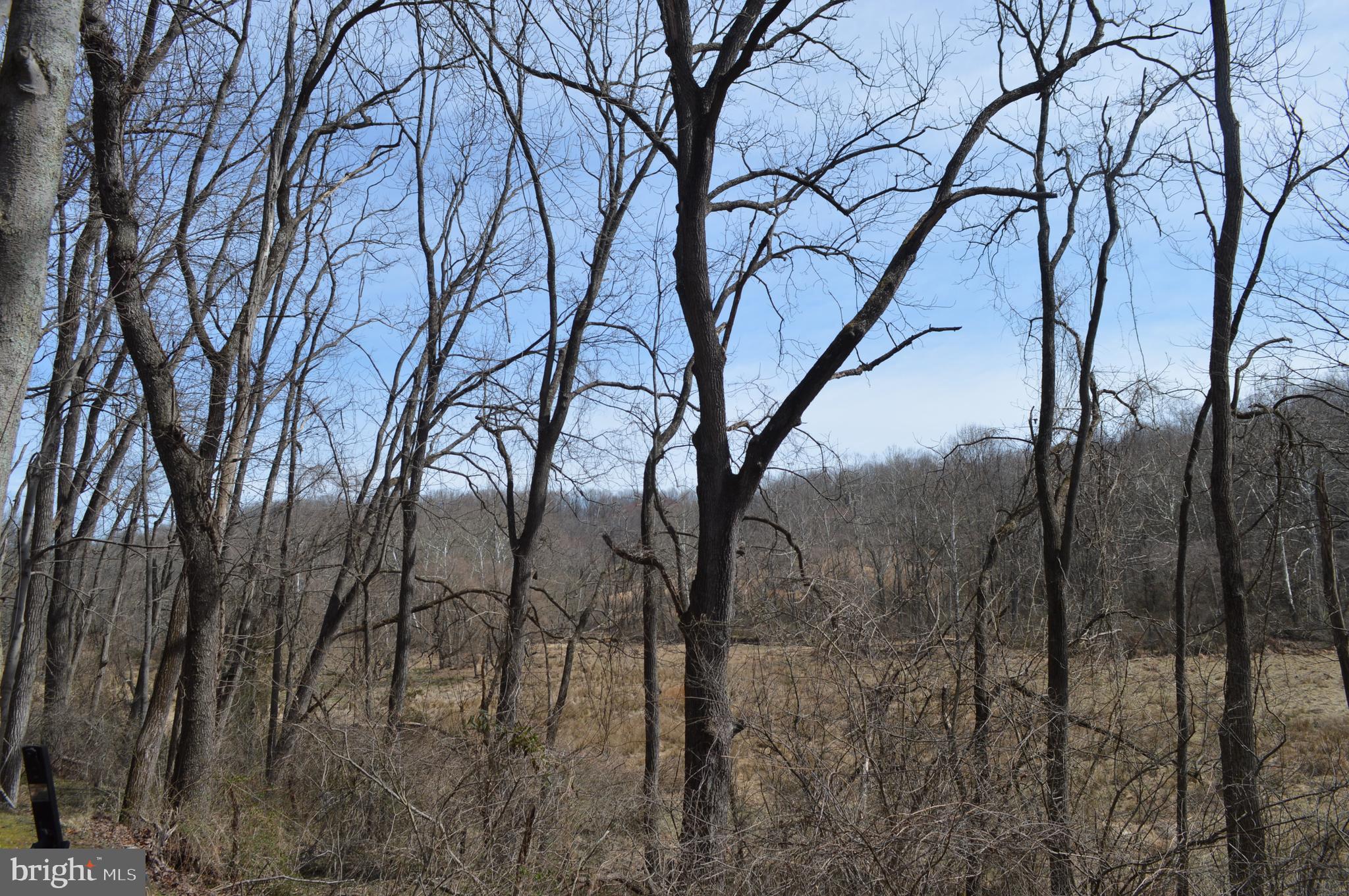 5319 Bartholow Road Sykesville, MD 21784 - Photo 64 of 65 View from back yard