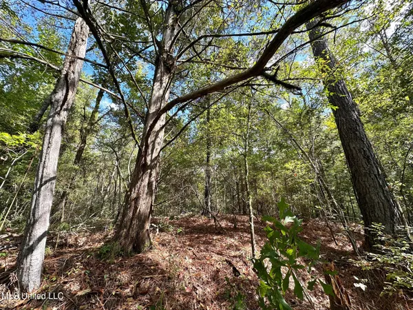 $49,000 | 1923 County Road 4001, Goodman, MS 39079