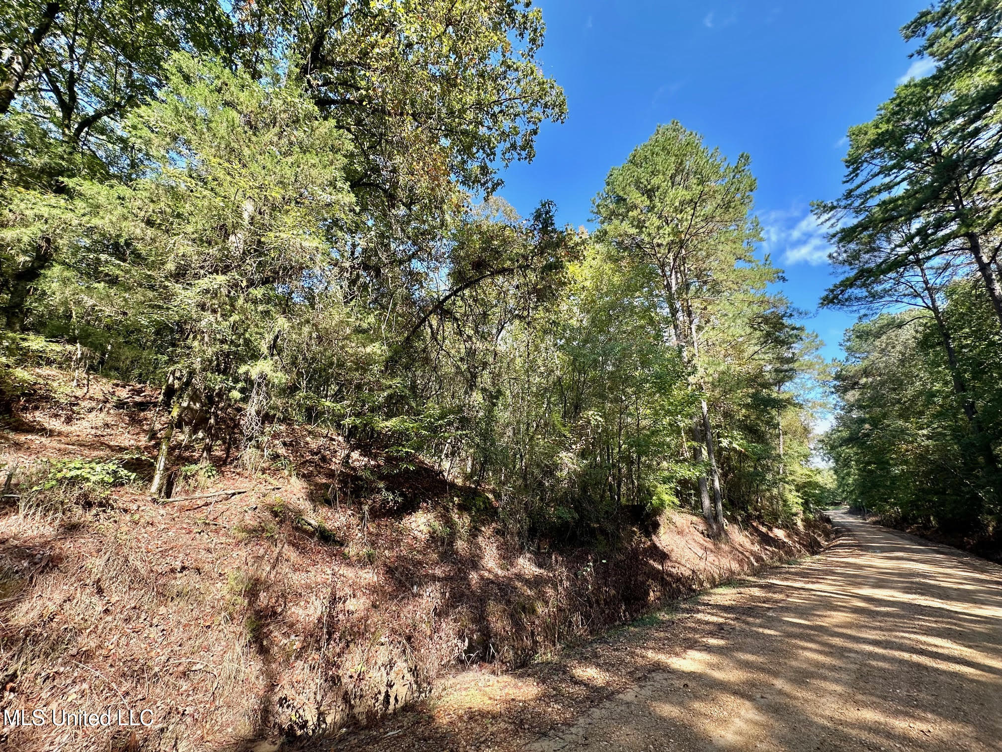 1923 County Road 4001 Goodman, MS 39079 - Photo 15 of 28 15