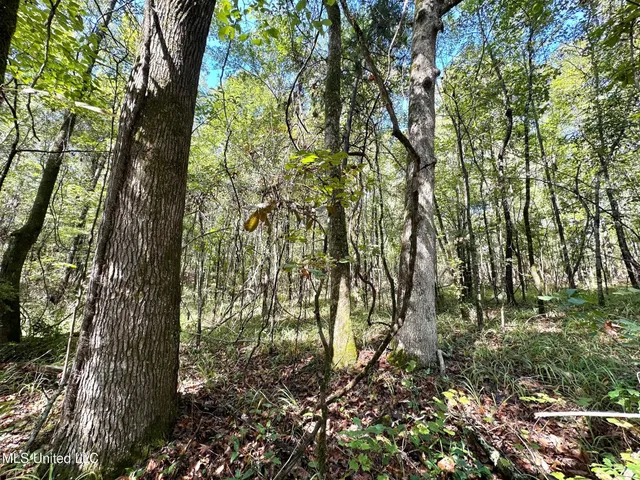 $49,000 | 1923 County Road 4001, Goodman, MS 39079