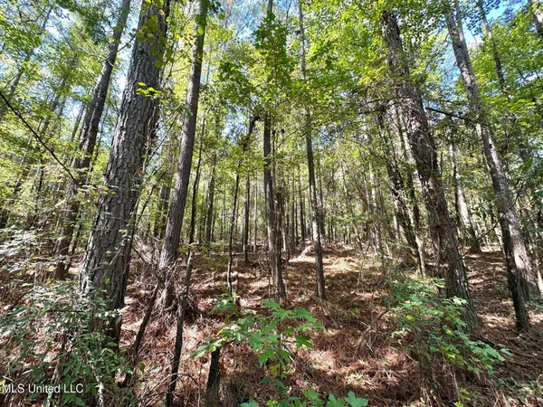 $49,000 | 1923 County Road 4001, Goodman, MS 39079