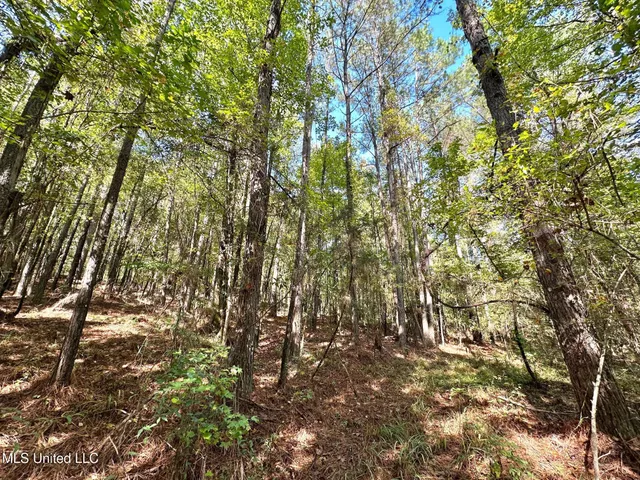 $49,000 | 1923 County Road 4001, Goodman, MS 39079