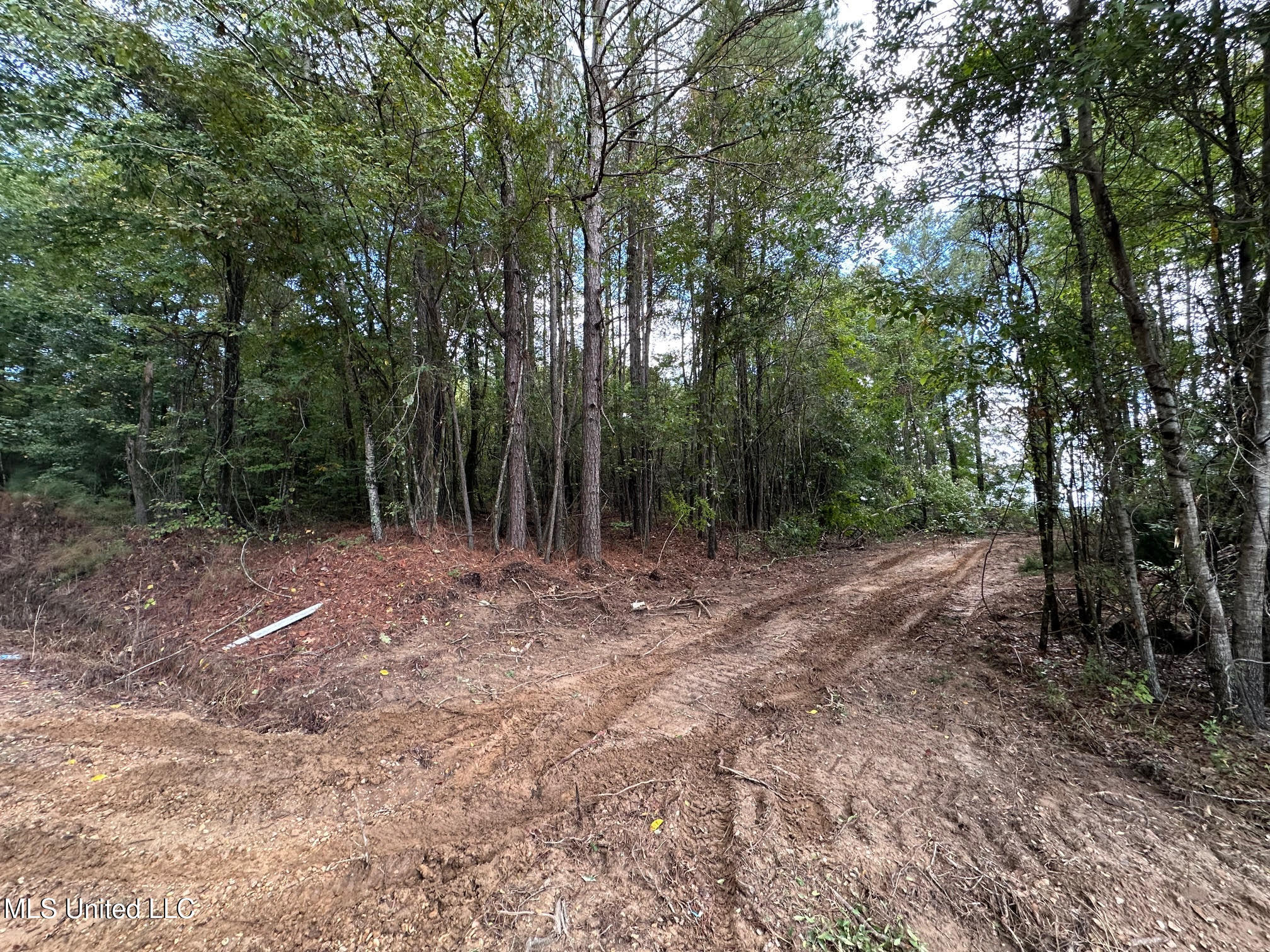 1923 County Road 4001 Goodman, MS 39079 - Photo 2 of 28 2