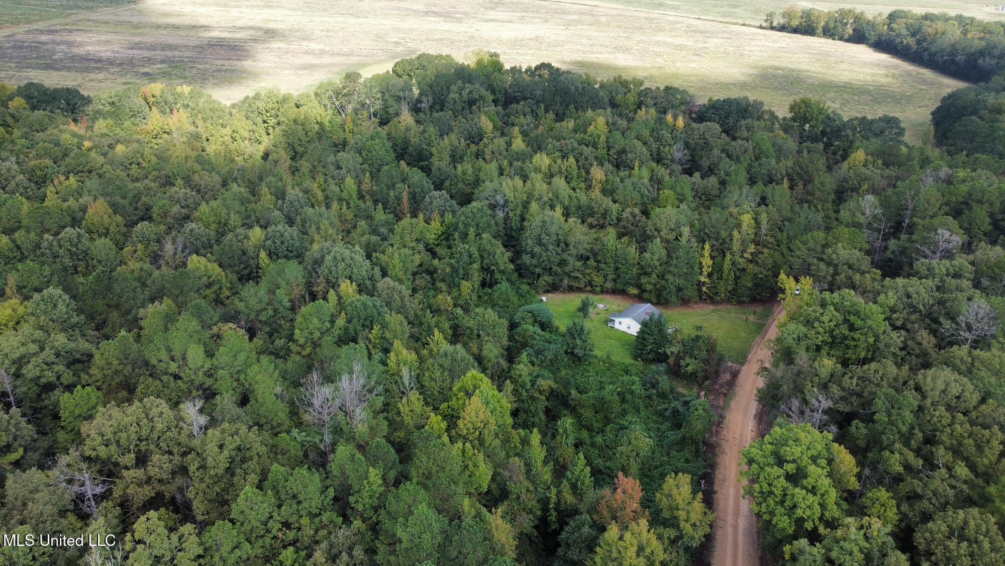 1923 County Road 4001 Goodman, MS 39079 - Photo 22 of 28 22