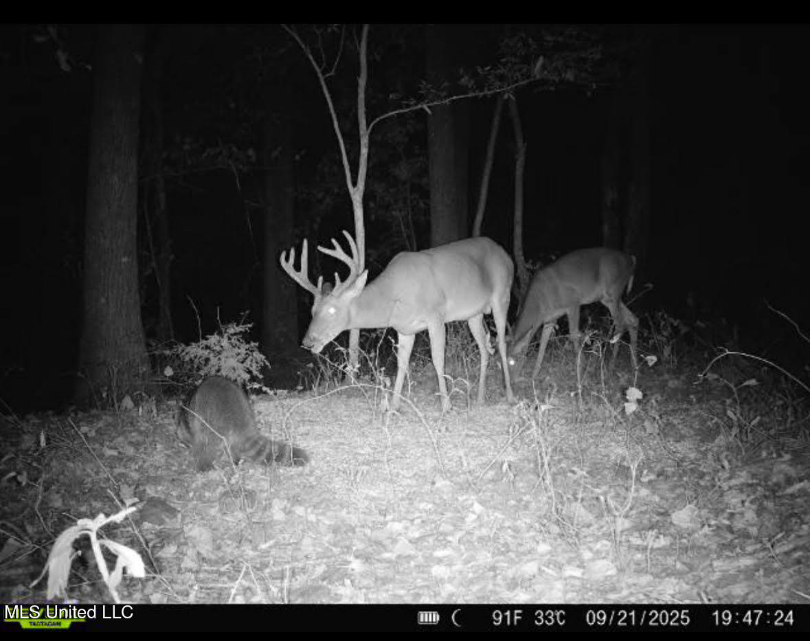 1923 County Road 4001 Goodman, MS 39079 - Photo 27 of 28 27