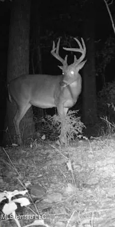 $49,000 | 1923 County Road 4001, Goodman, MS 39079