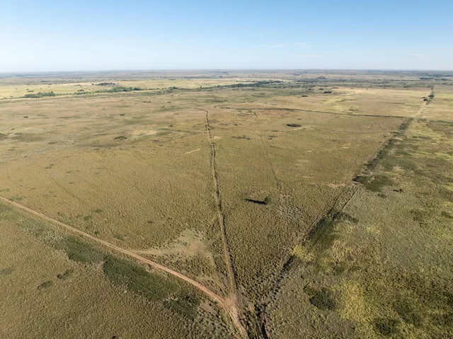 a view of an ocean beach