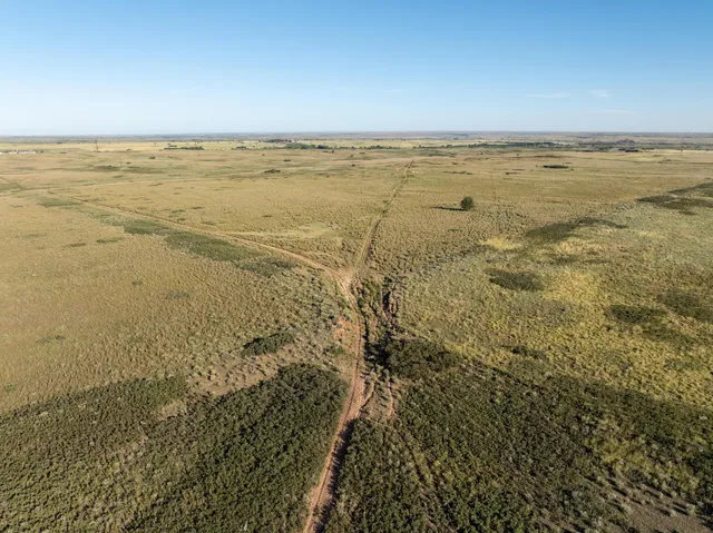 a view of beach and ocean