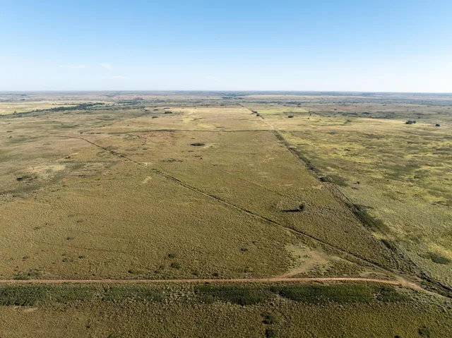 a view of an ocean beach