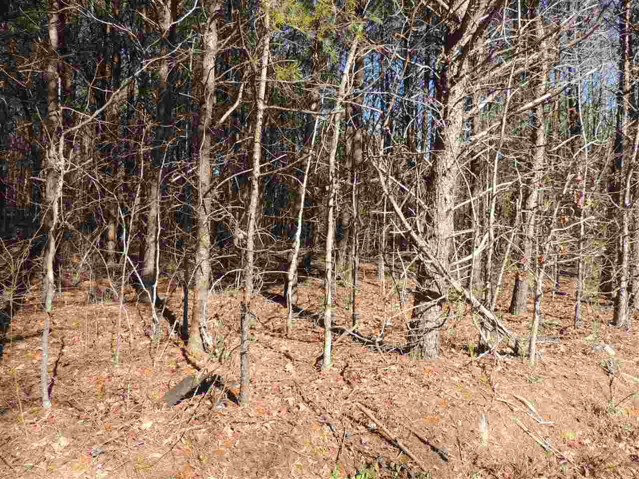 Harvey Gosnell Road Landrum, SC 29356 - Photo 1 of 6