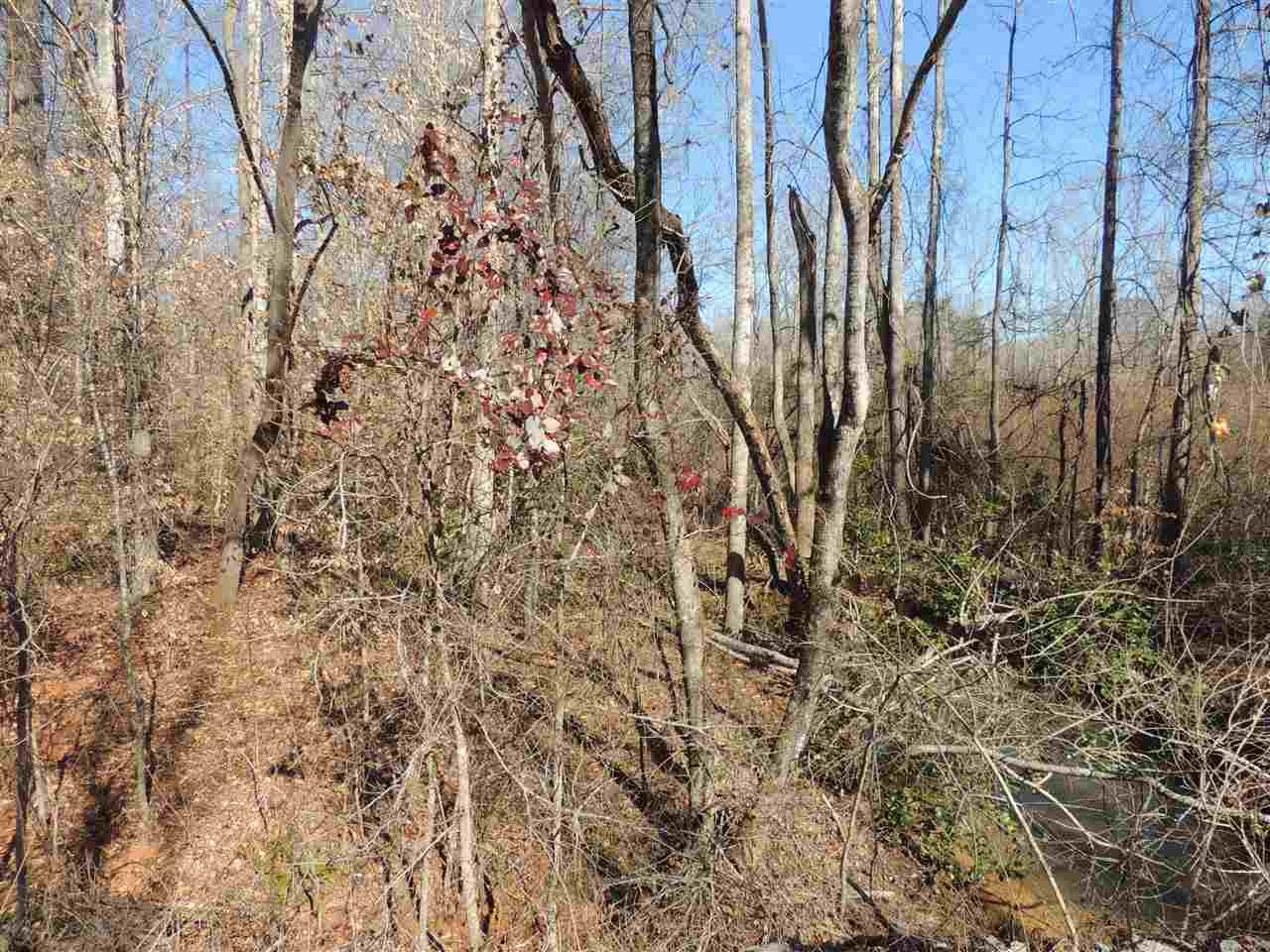 Harvey Gosnell Road Landrum, SC 29356 - Photo 2 of 6