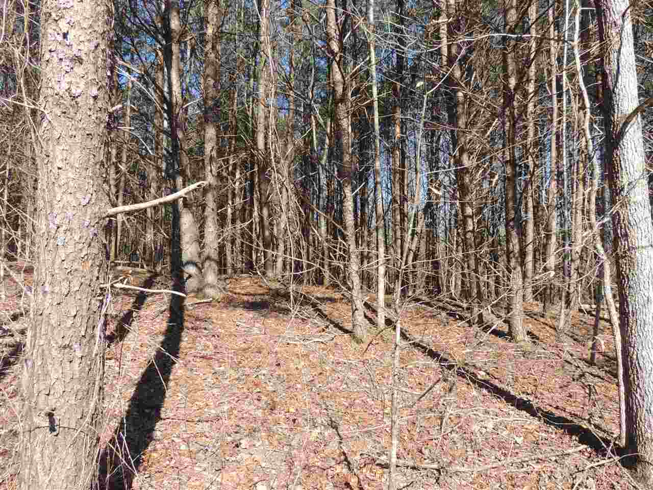 Harvey Gosnell Road Landrum, SC 29356 - Photo 3 of 6