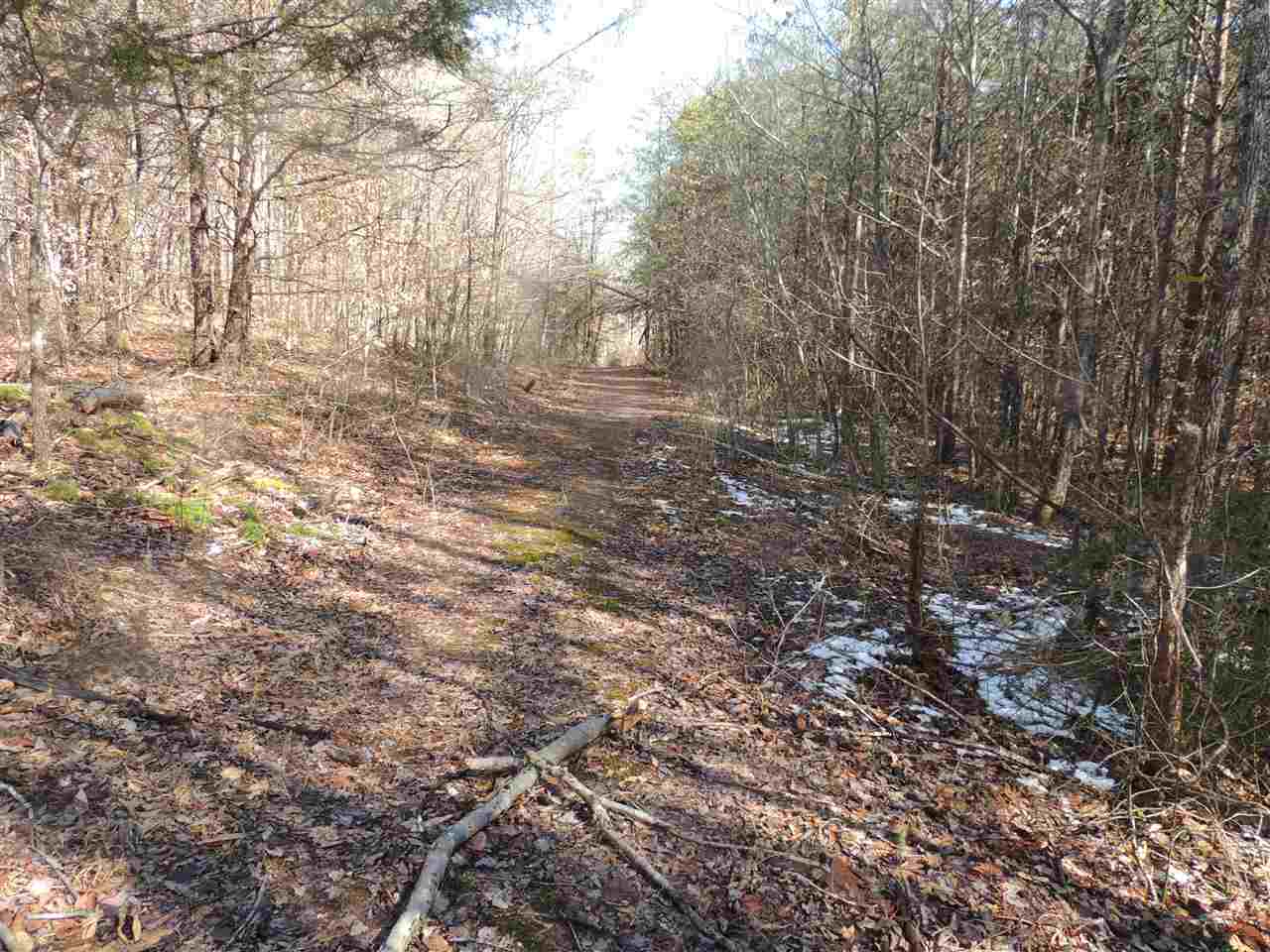 Harvey Gosnell Road Landrum, SC 29356 - Photo 6 of 6