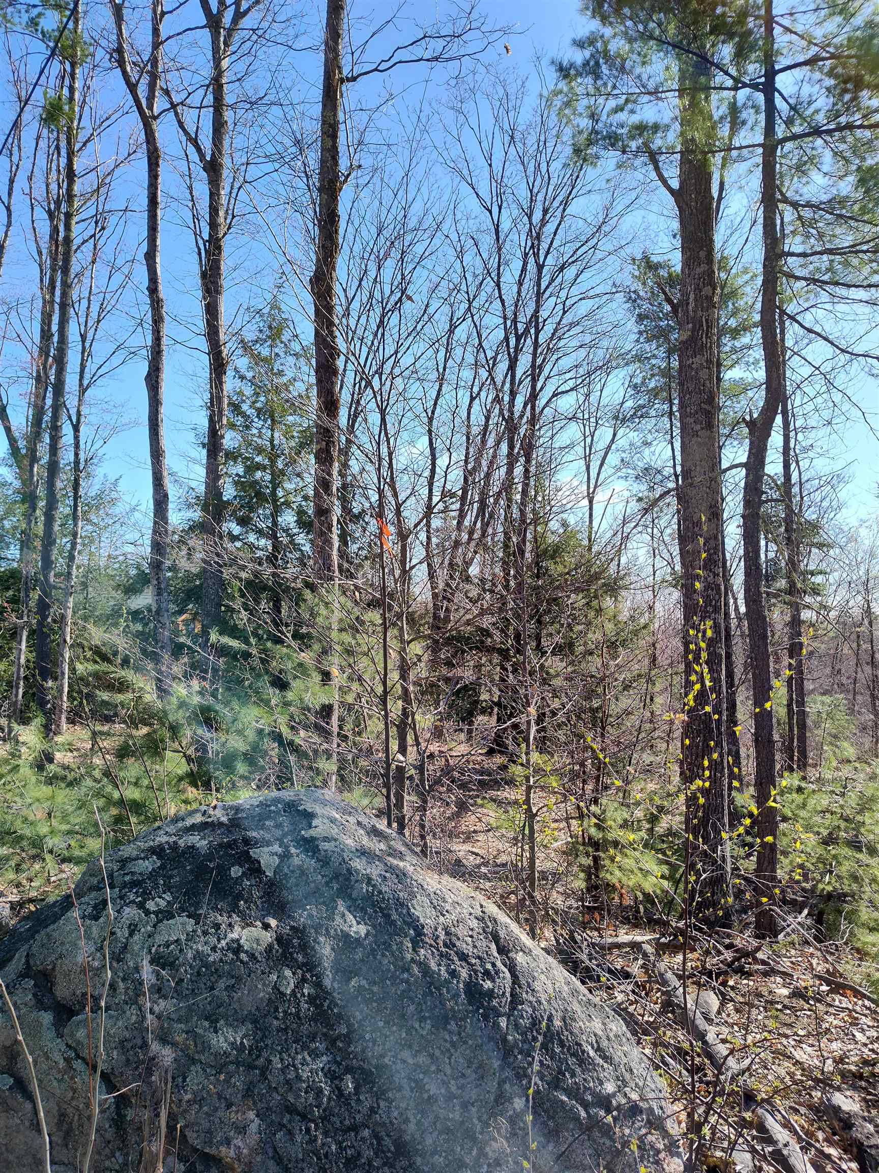 Lot 8 Clark Hill Road, Unit 8 New Boston, NH 03070 - Photo 13 of 31 Gallery Image 13
